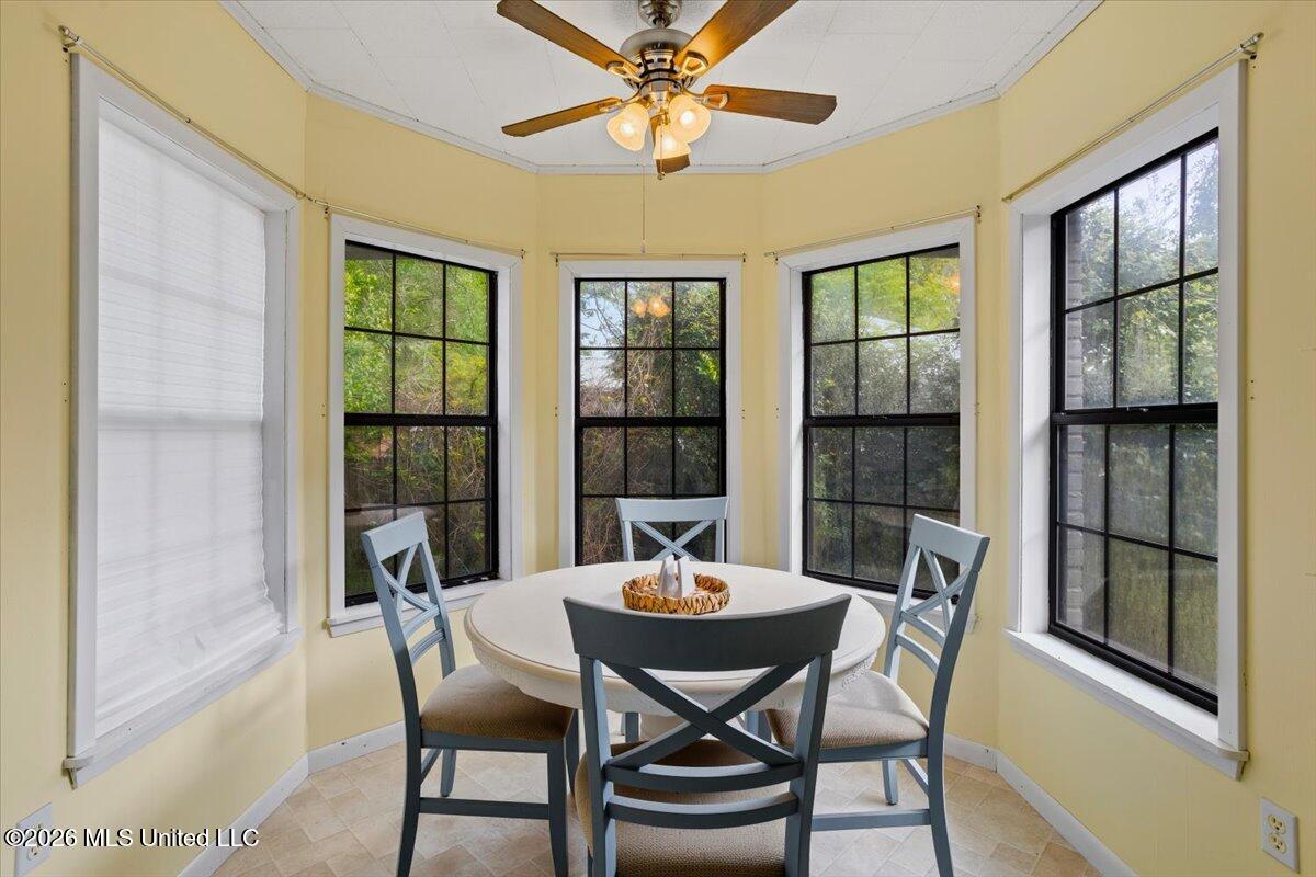172 Holmes Street Property Photo 19