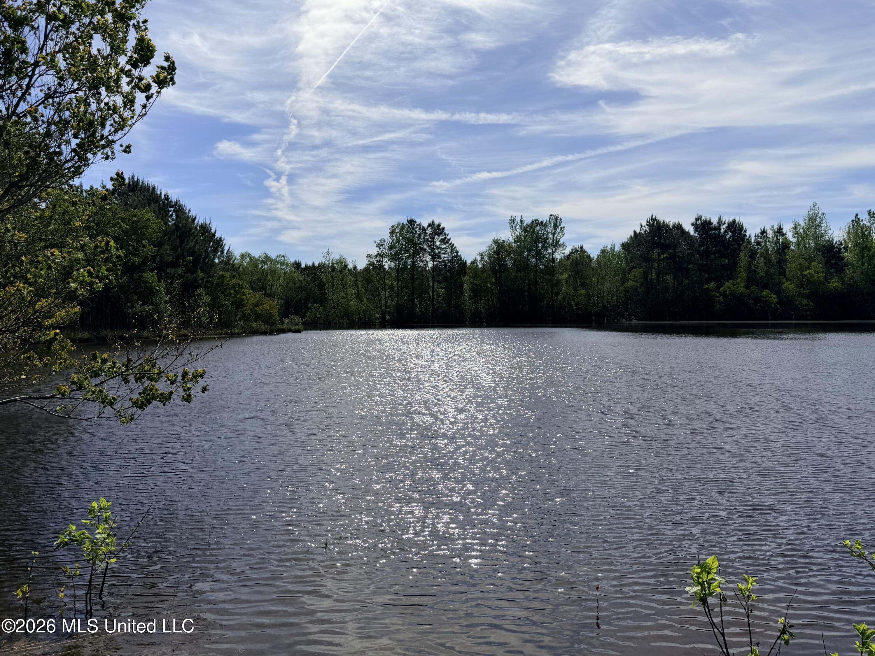 Chathaw Path Property Photo 1