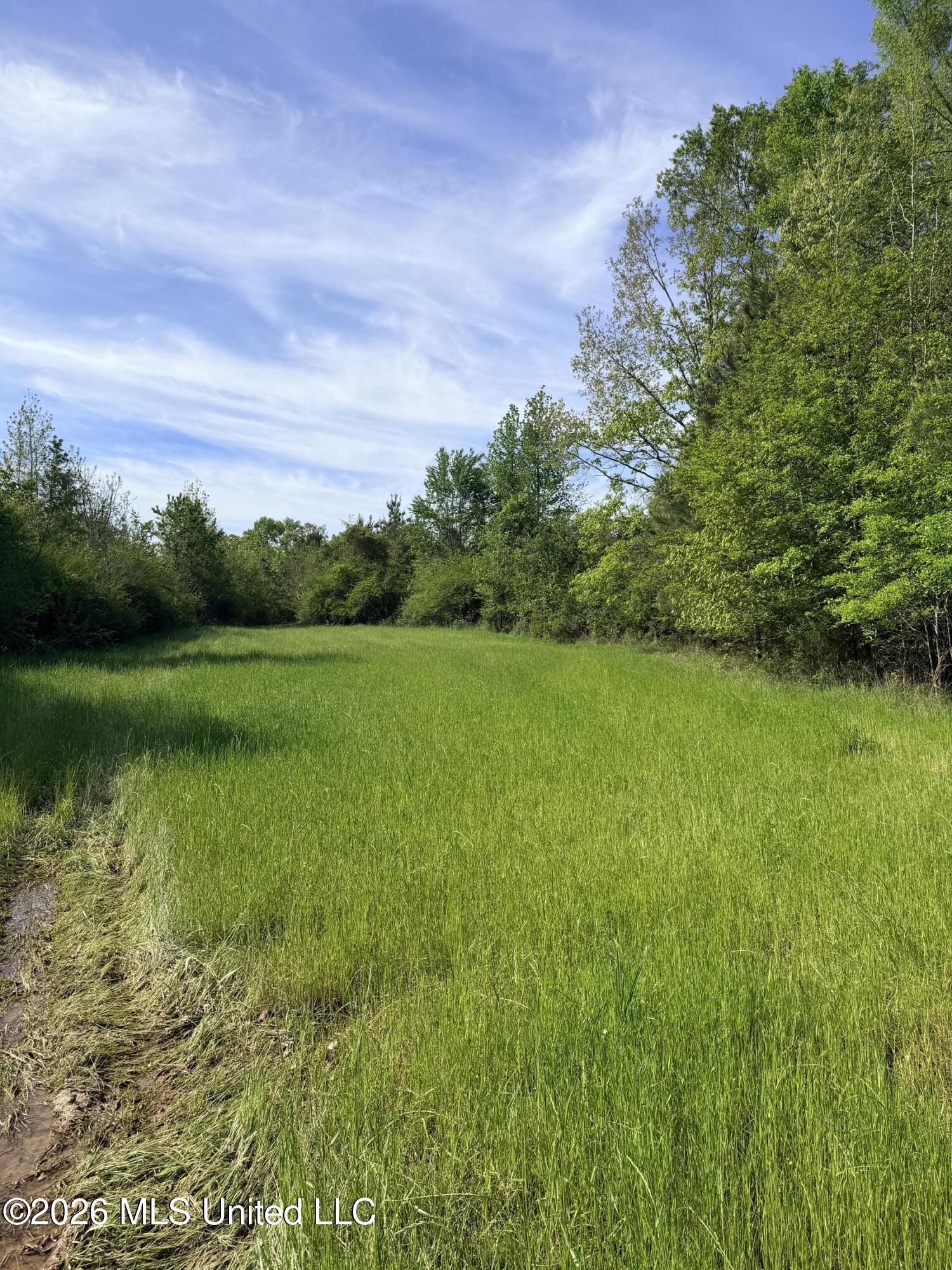 Chathaw Path Property Photo 2