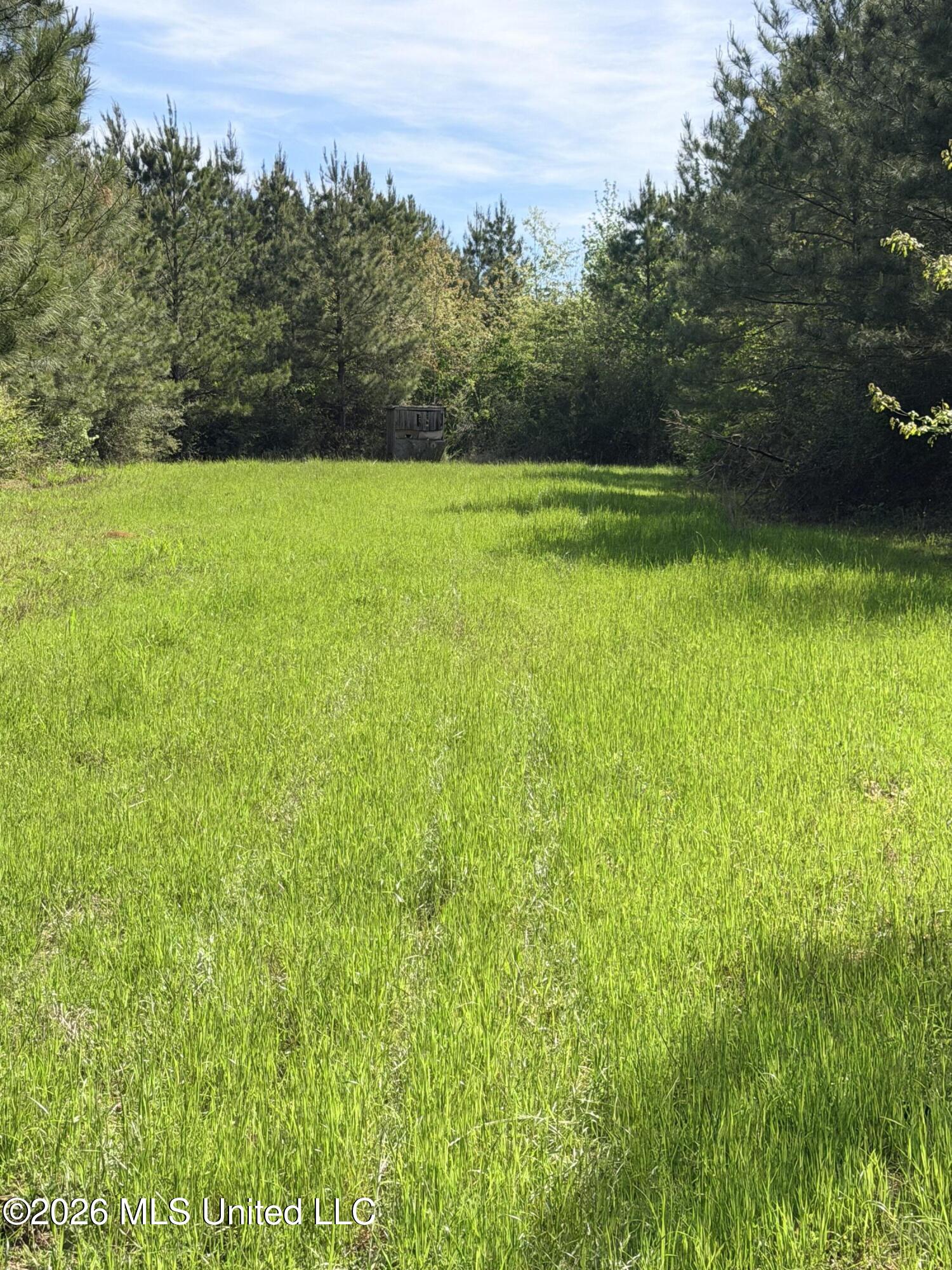 Chathaw Path Property Photo 3