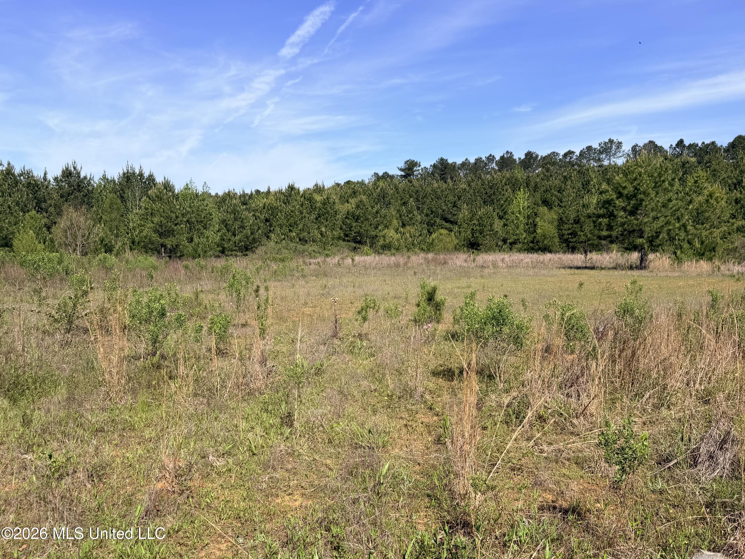 Chathaw Path Property Photo 4