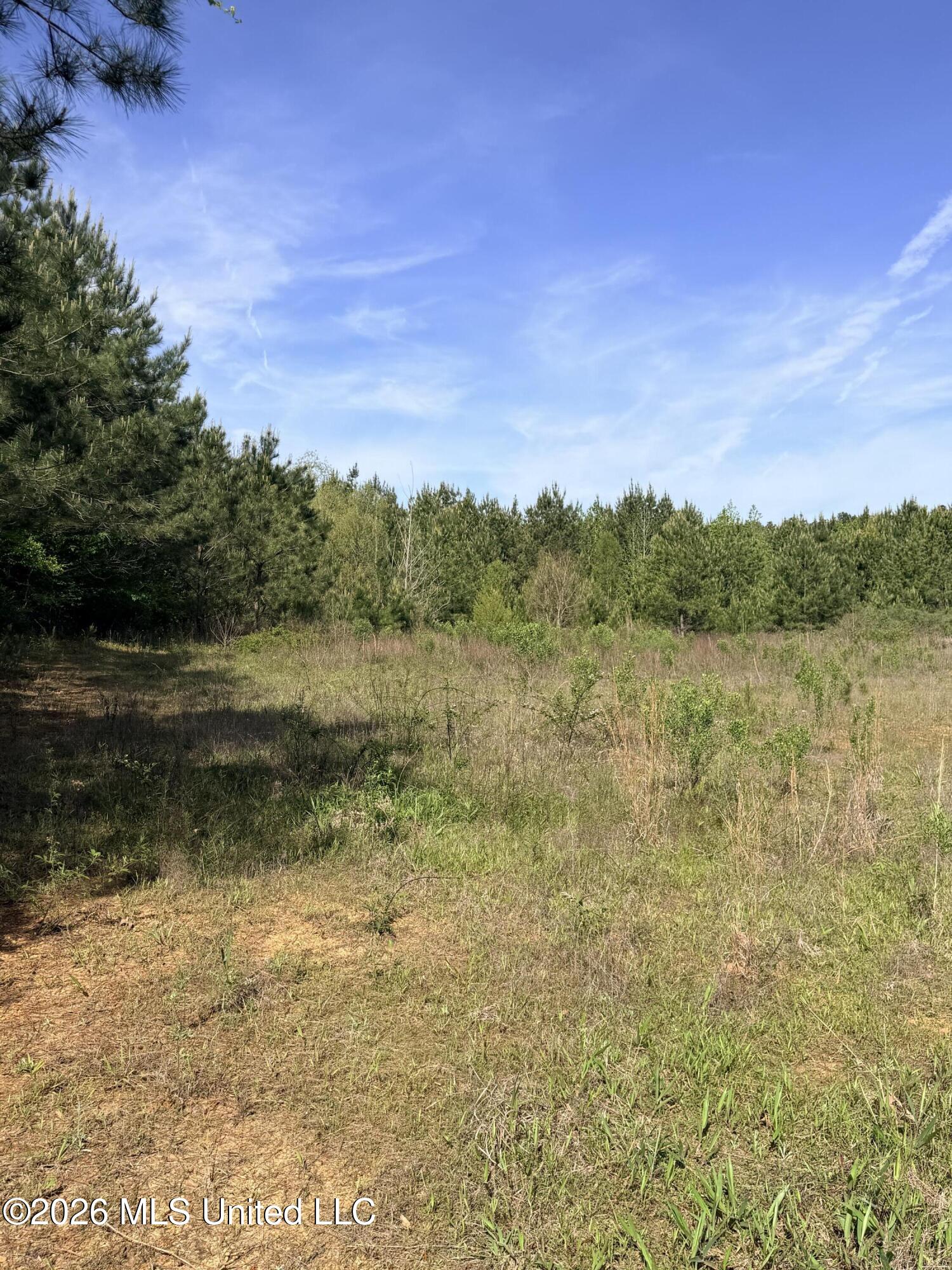Chathaw Path Property Photo 5