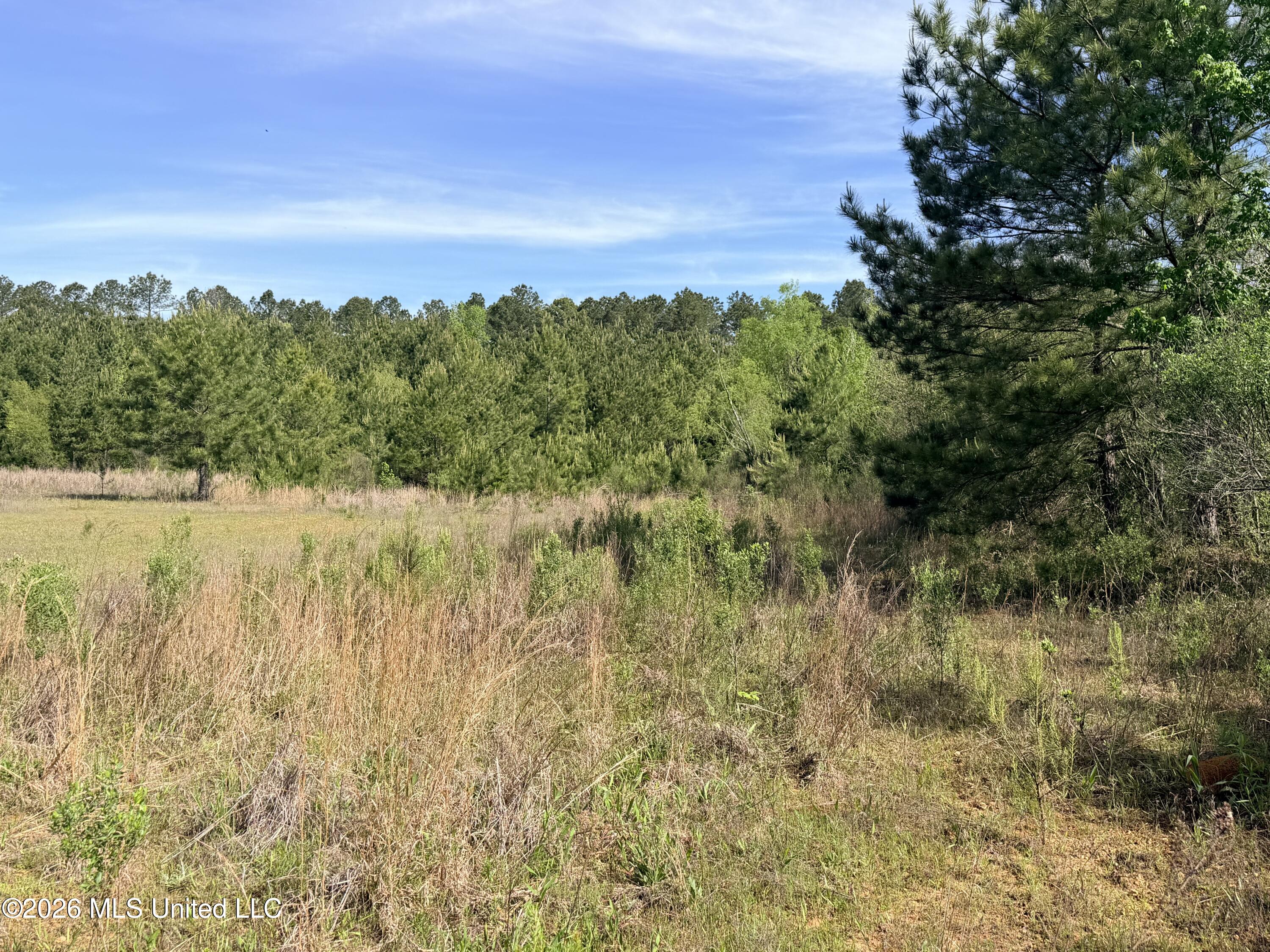 Chathaw Path Property Photo 6
