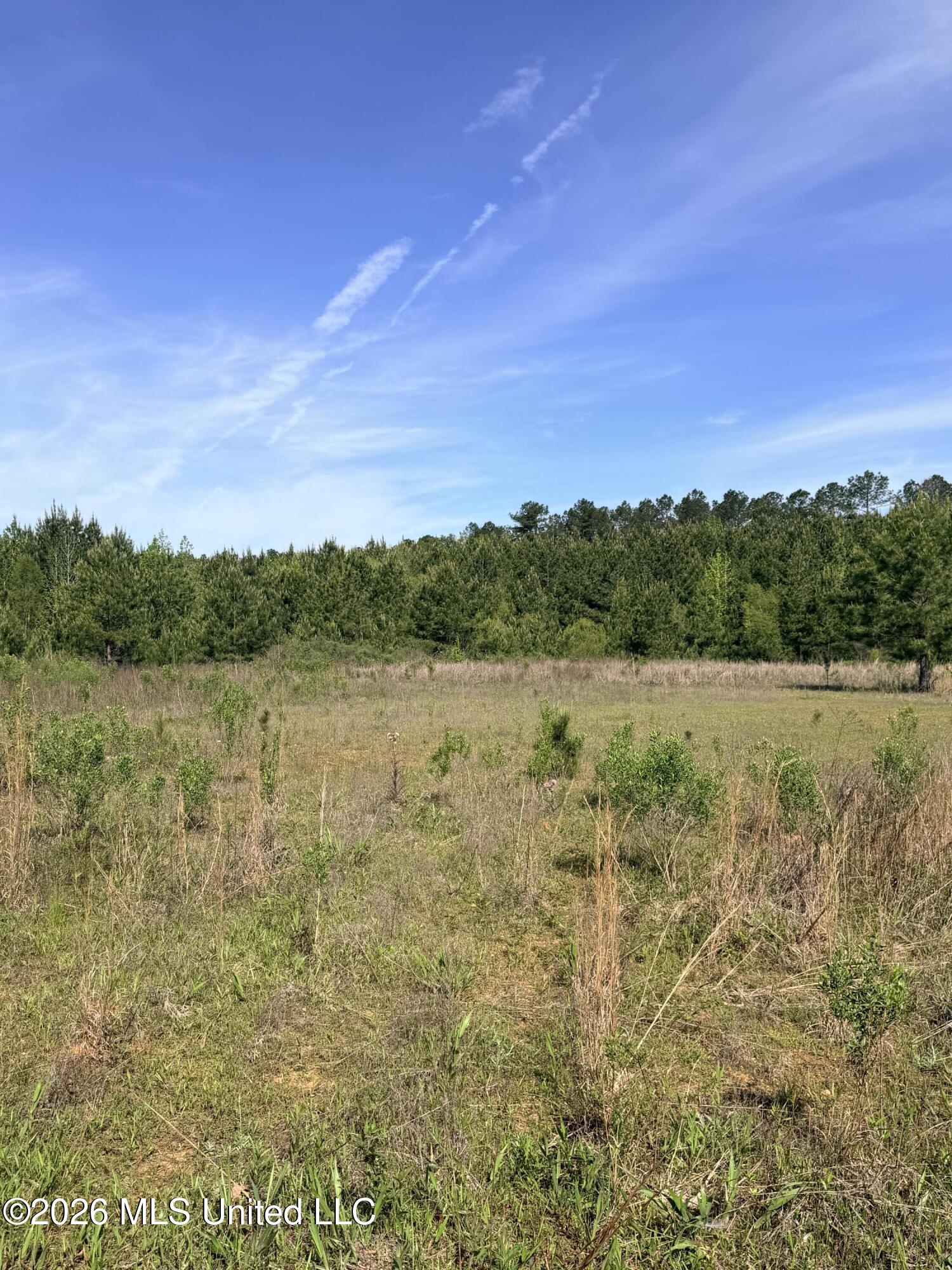 Chathaw Path Property Photo 7
