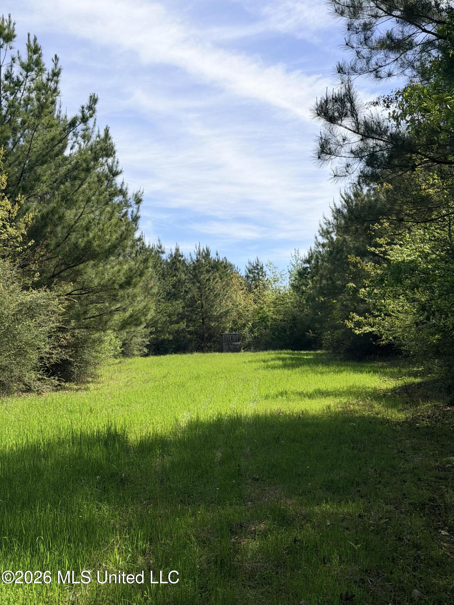 Chathaw Path Property Photo 9