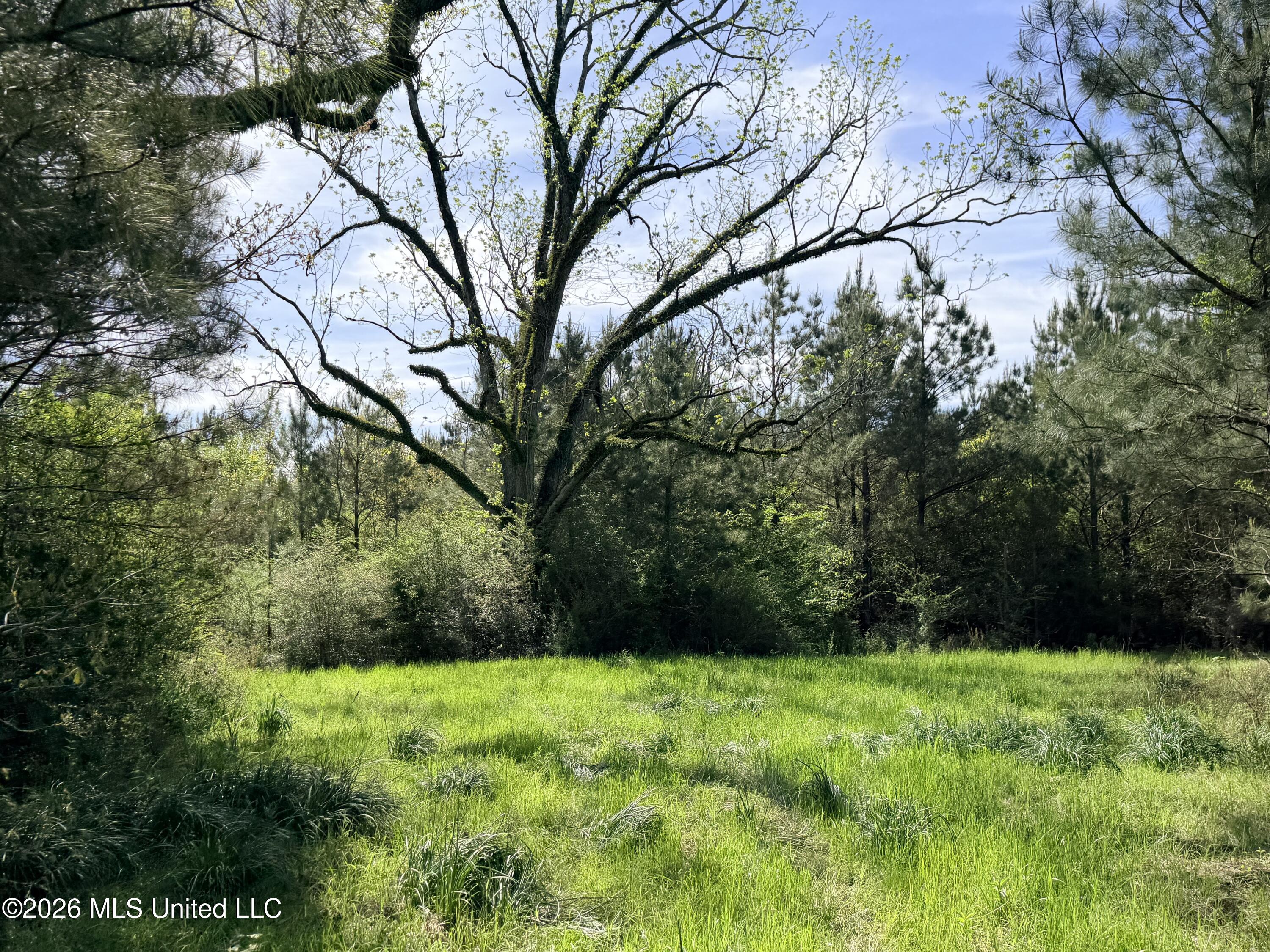 Chathaw Path Property Photo 10
