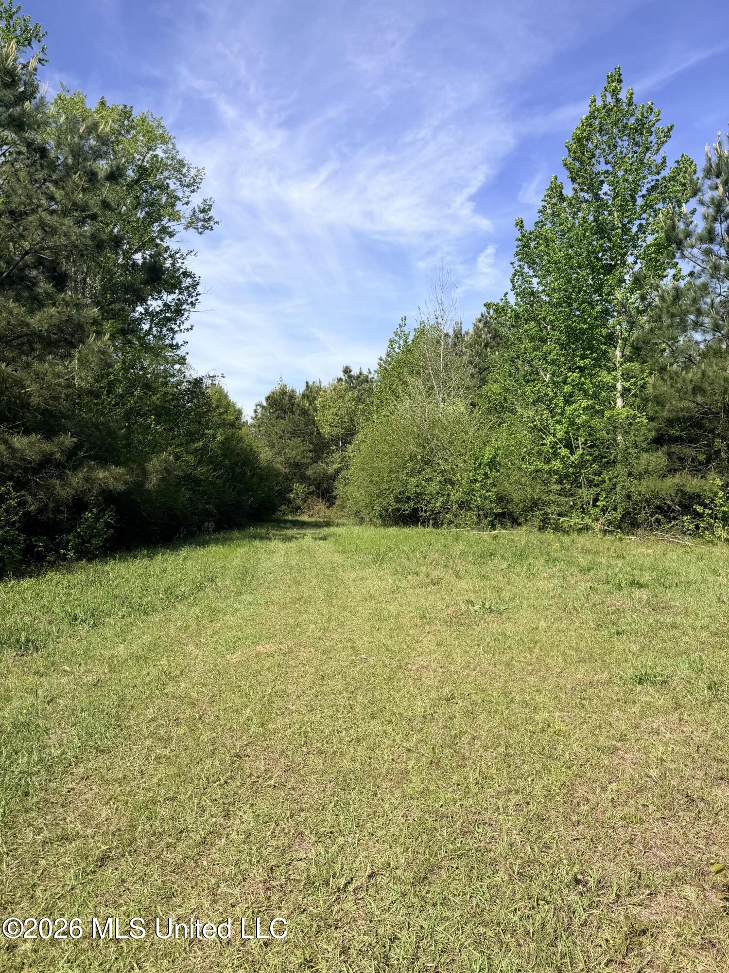 Chathaw Path Property Photo 11