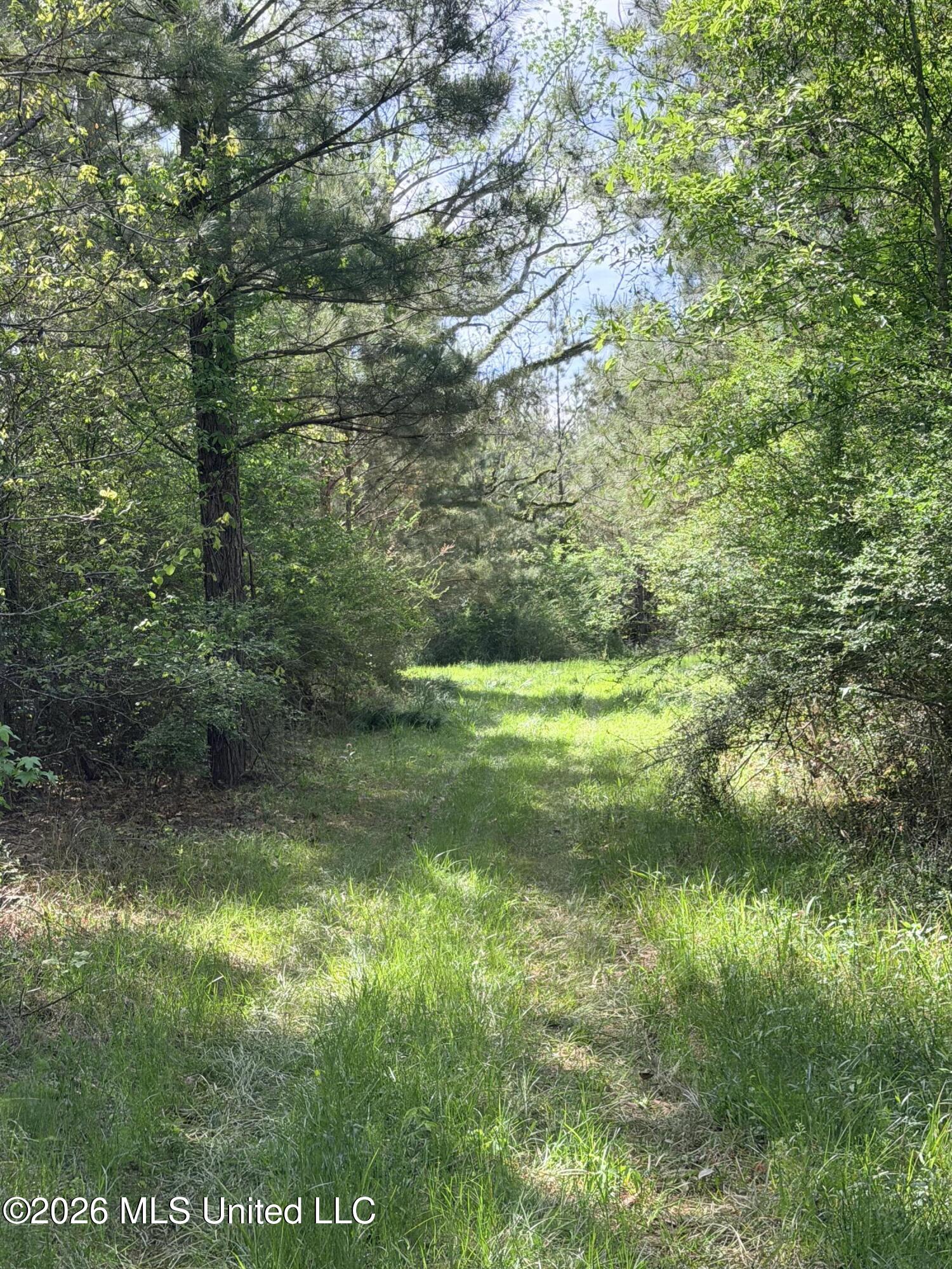 Chathaw Path Property Photo 12