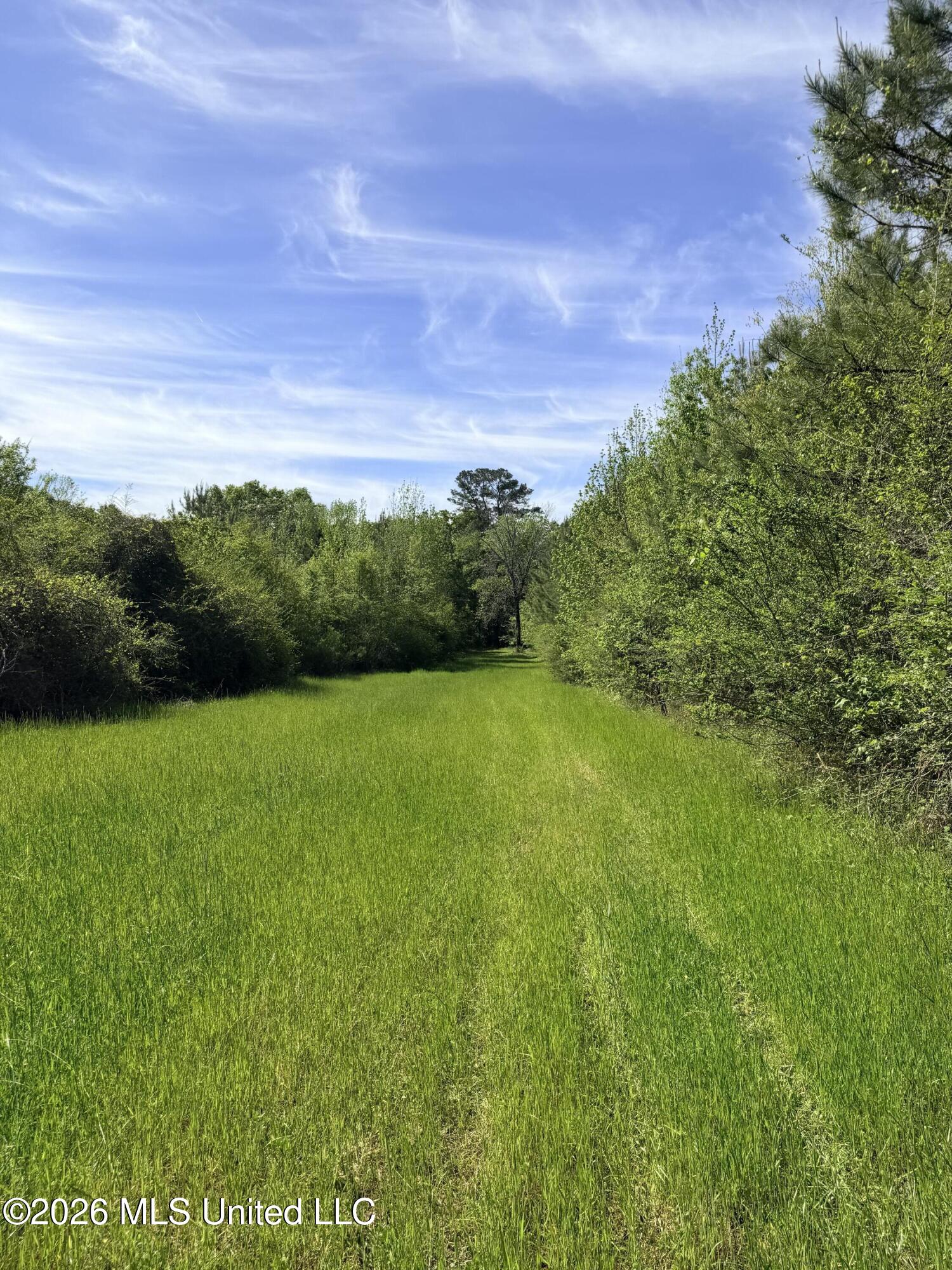 Chathaw Path Property Photo 14