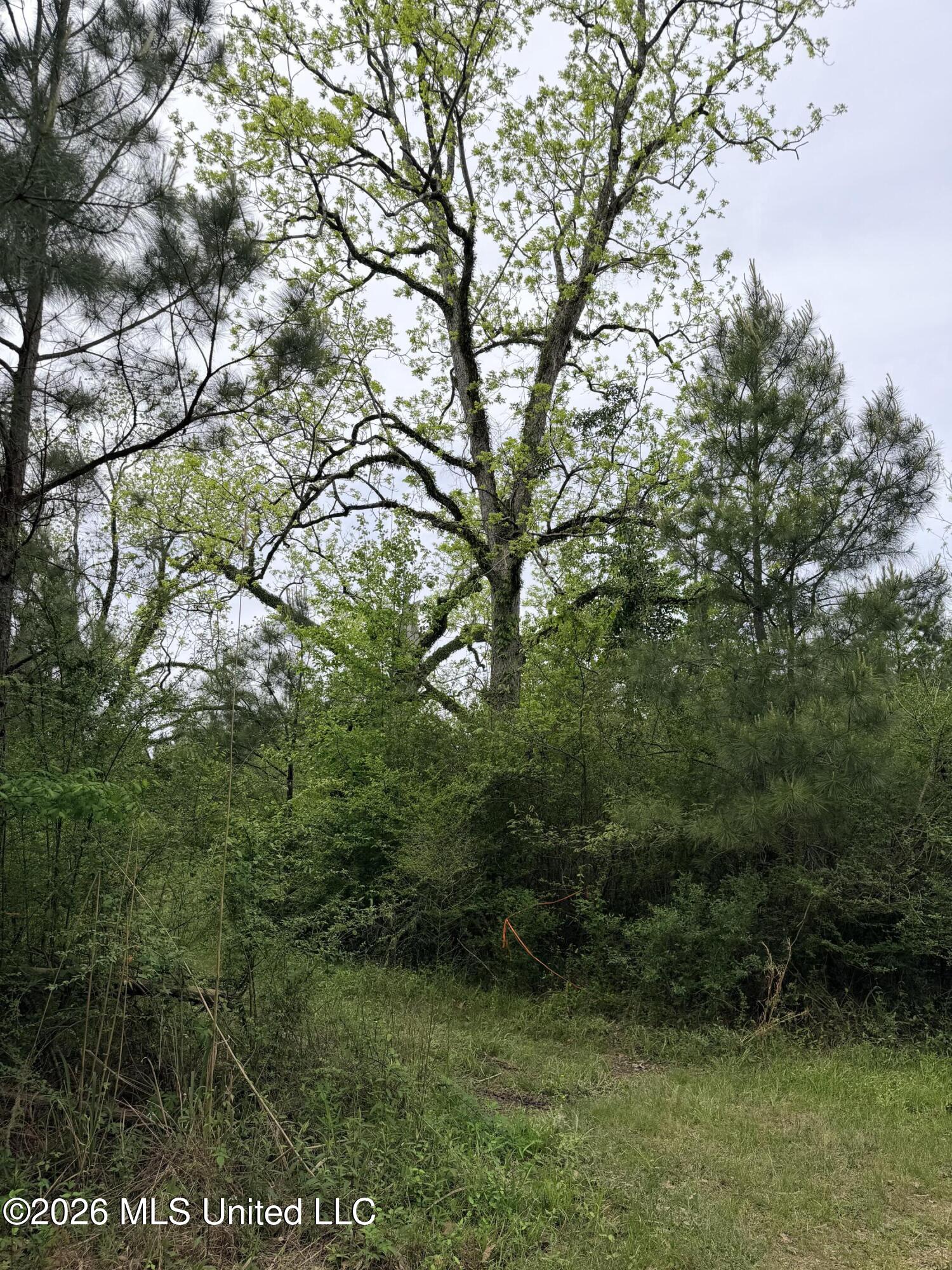 Chathaw Path Property Photo 15