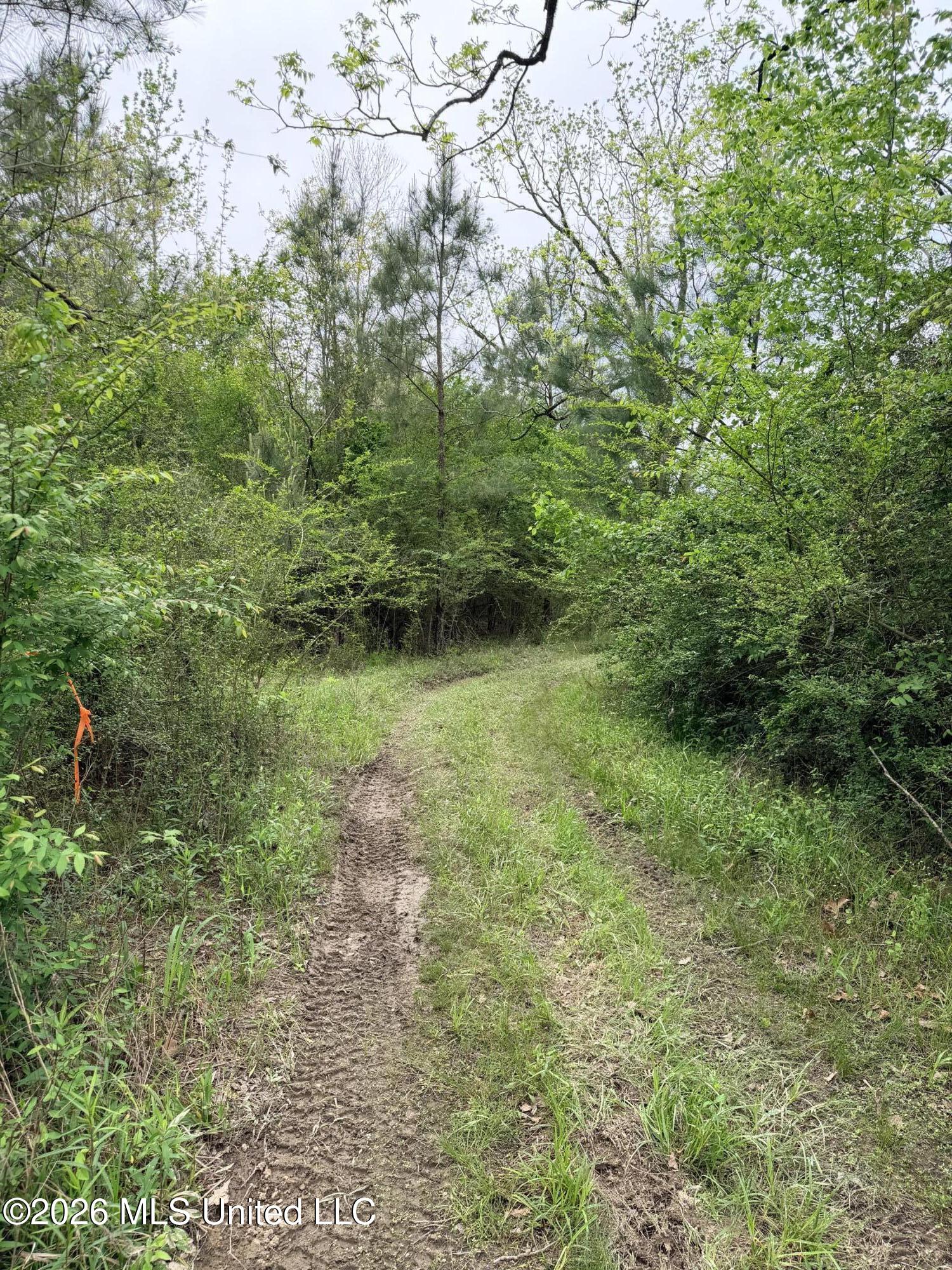 Chathaw Path Property Photo 16