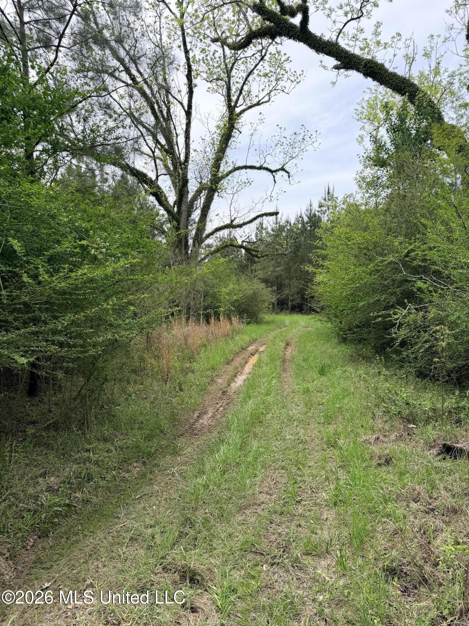 Chathaw Path Property Photo 17