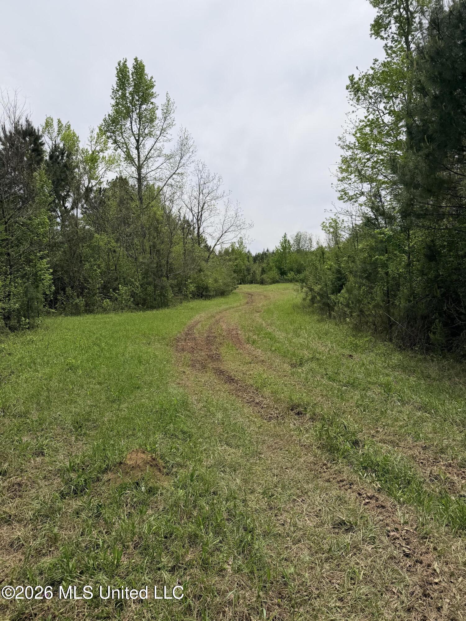 Chathaw Path Property Photo 18