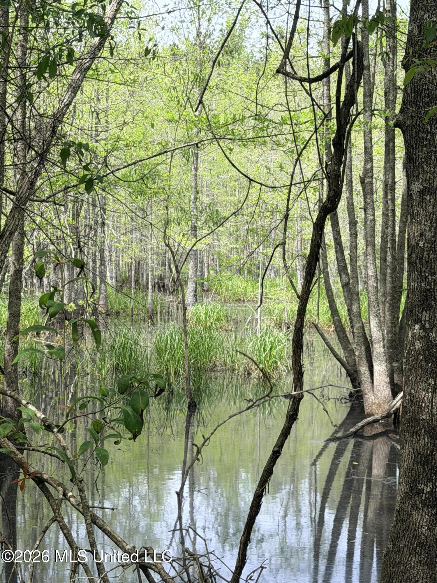 Chathaw Path Property Photo 19