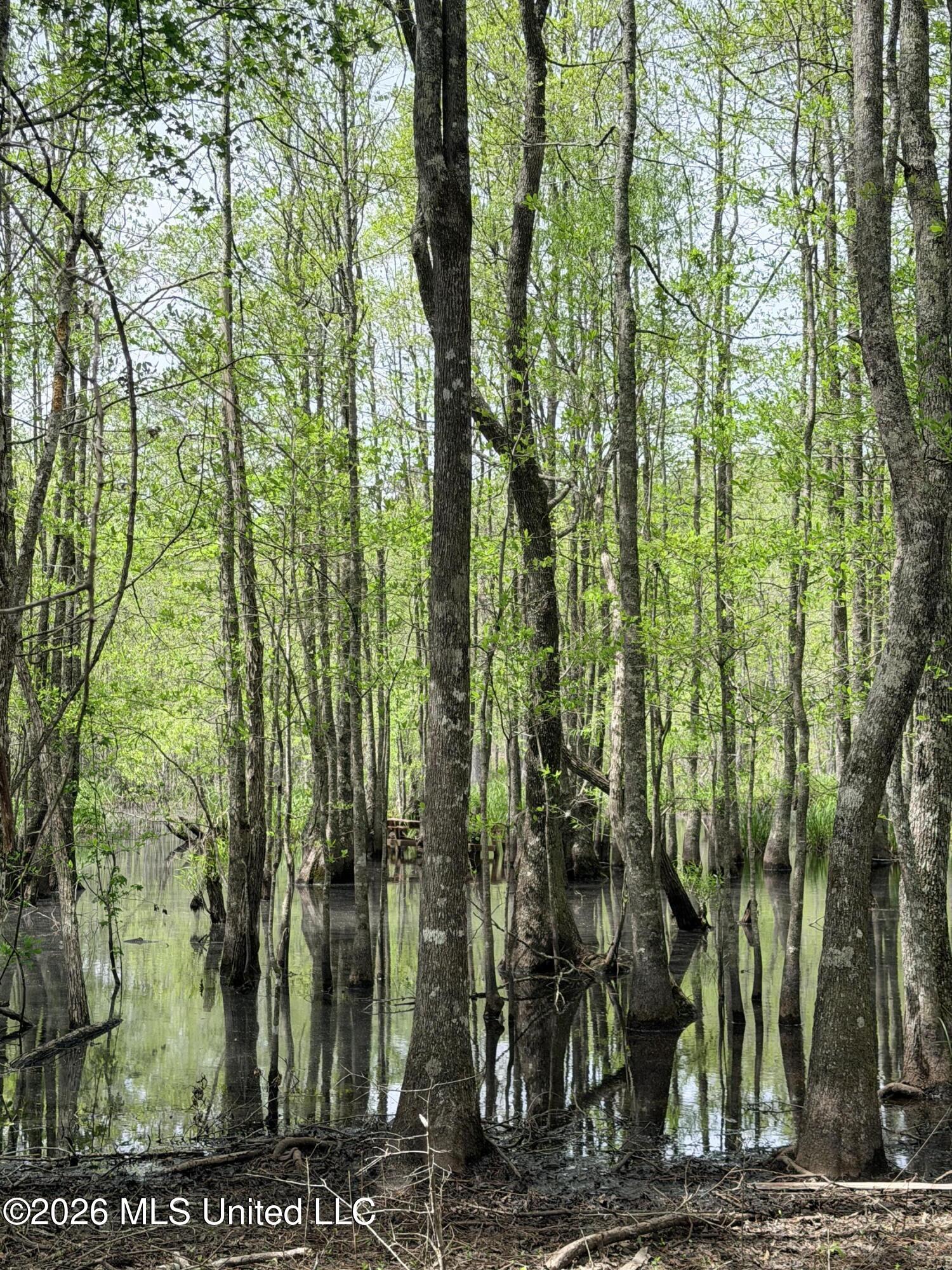 Chathaw Path Property Photo 20