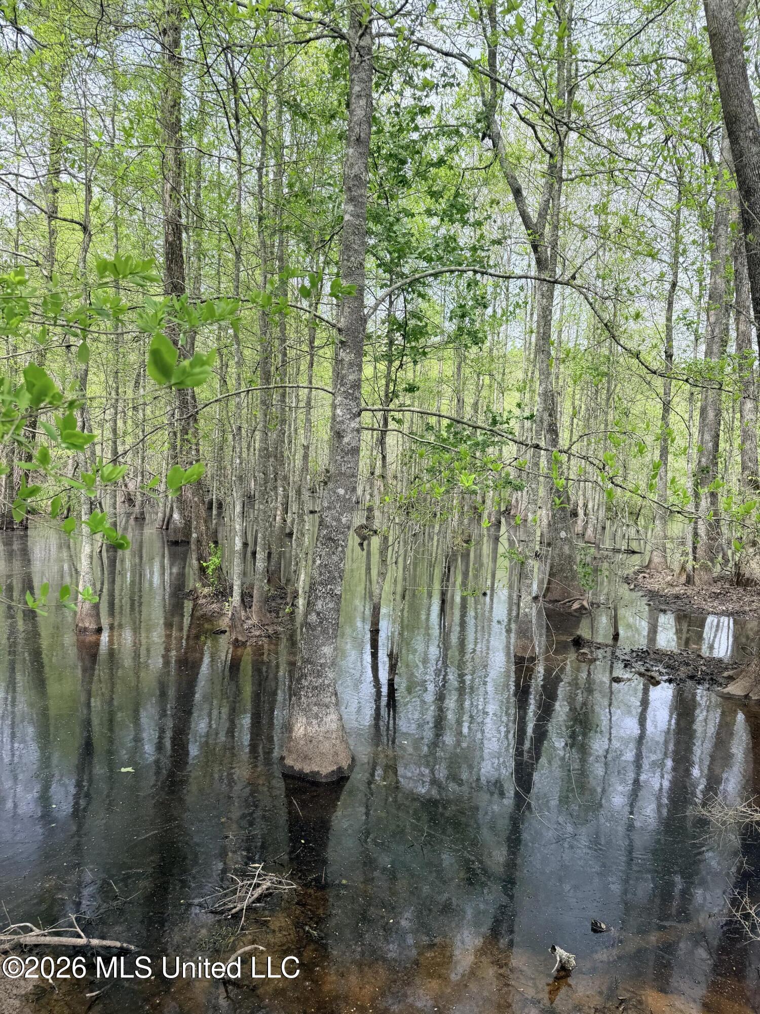 Chathaw Path Property Photo 21