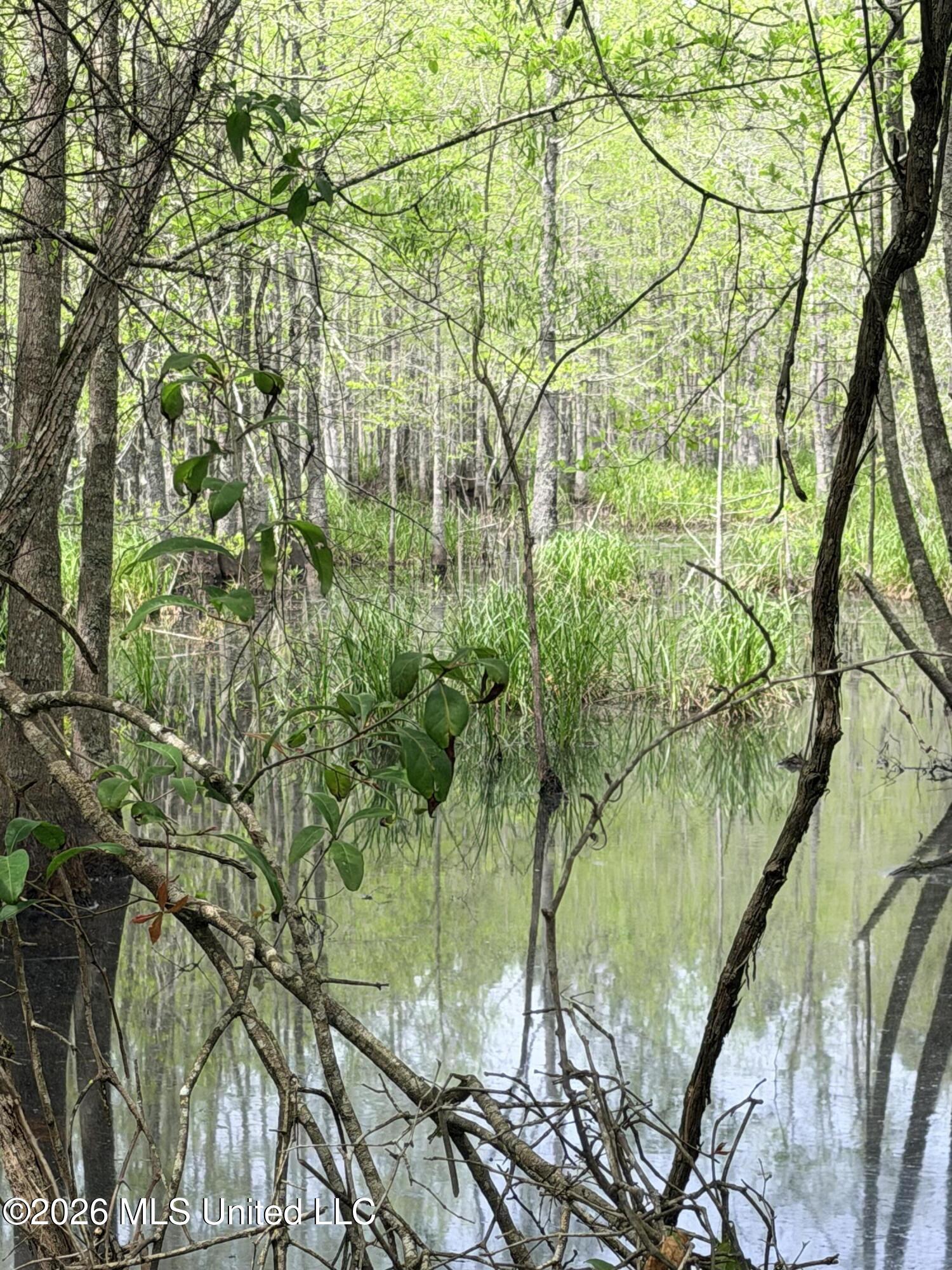 Chathaw Path Property Photo 22