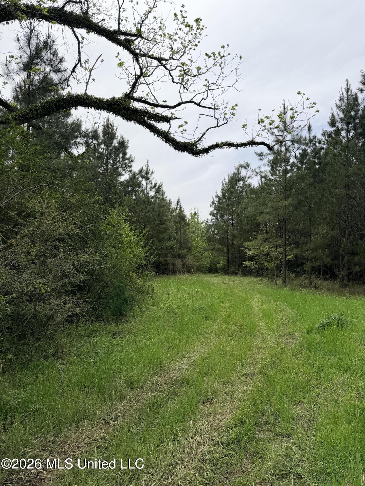 Chathaw Path Property Photo 23