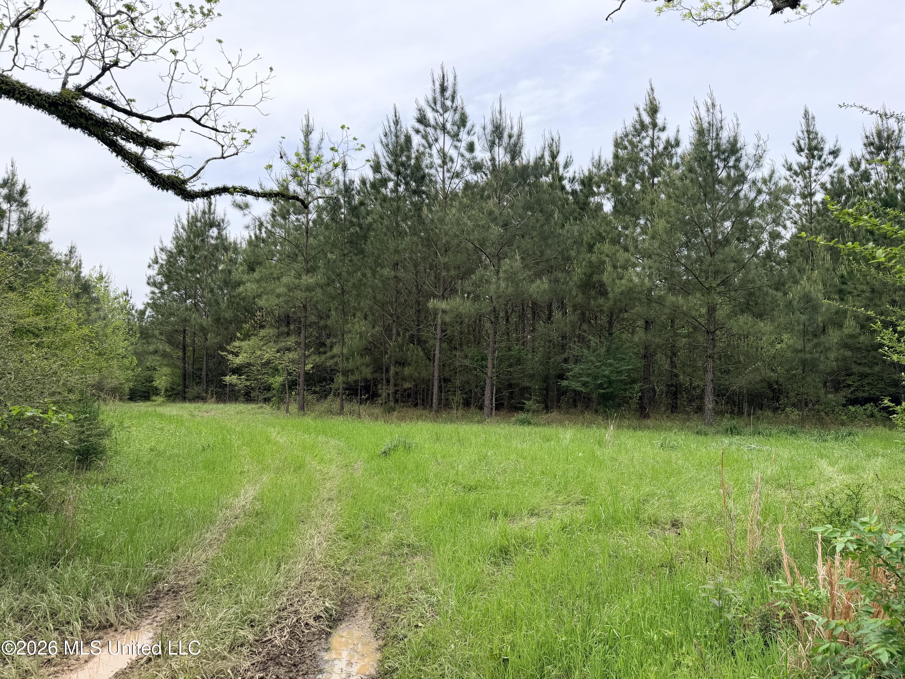 Chathaw Path Property Photo 24