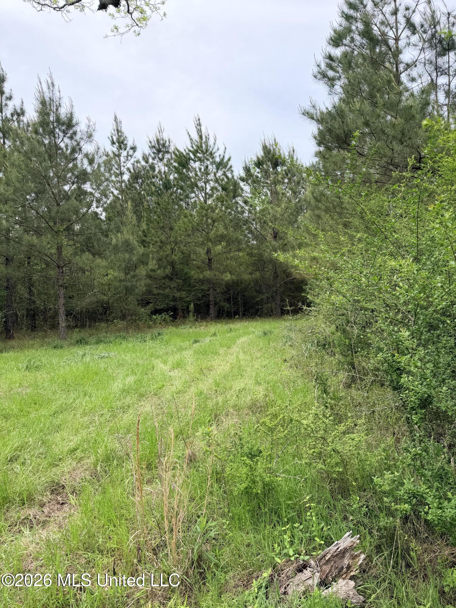 Chathaw Path Property Photo 25