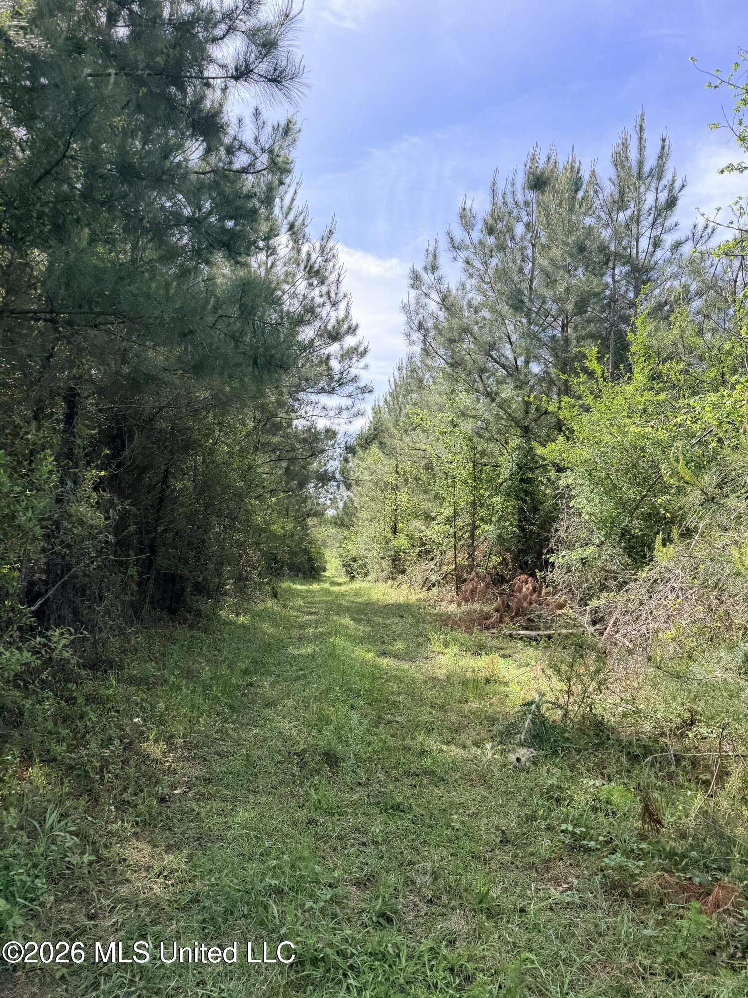Chathaw Path Property Photo 26