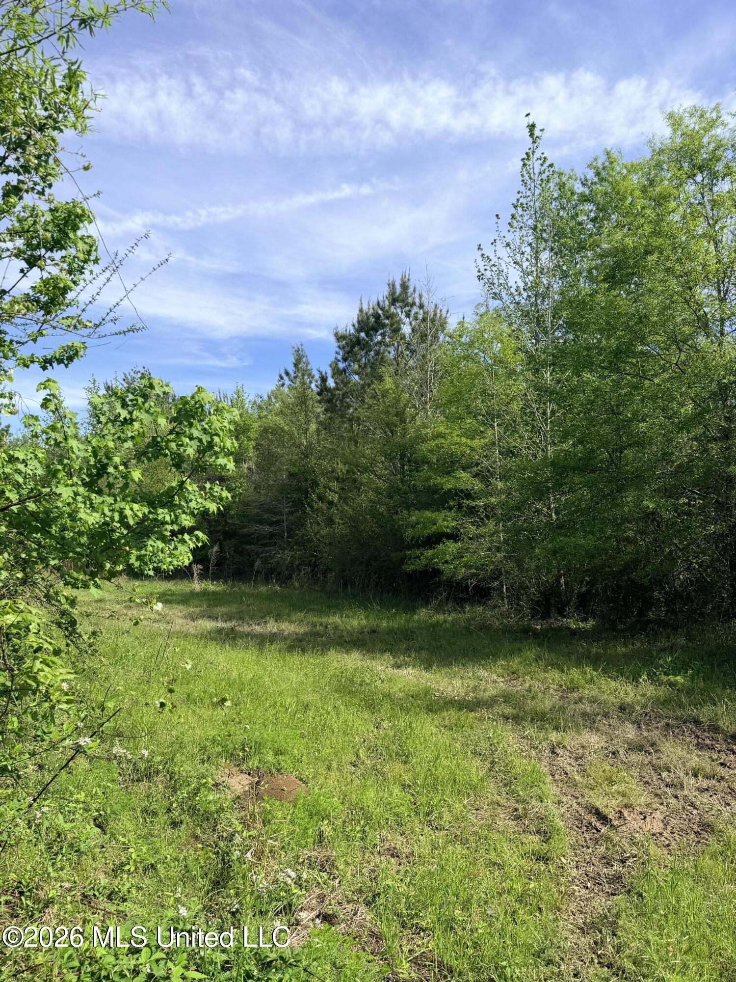 Chathaw Path Property Photo 27
