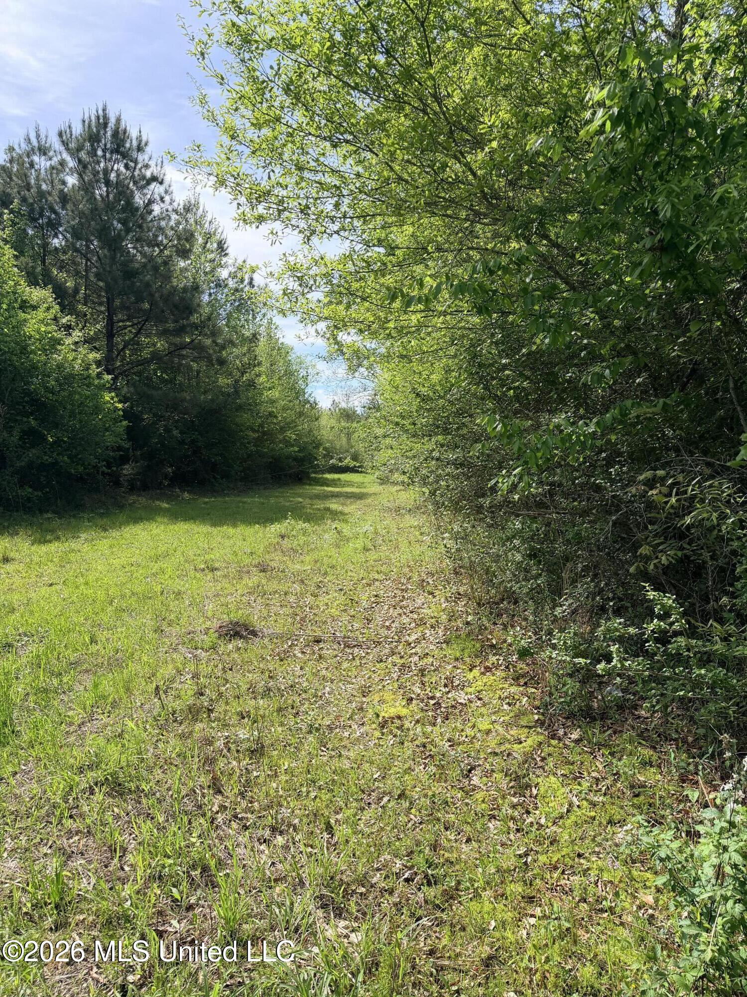 Chathaw Path Property Photo 28