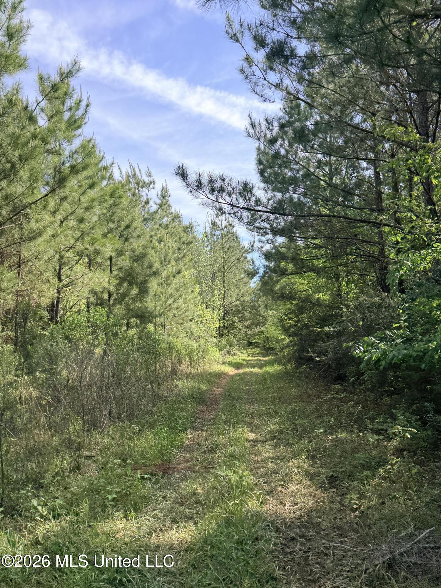 Chathaw Path Property Photo 29