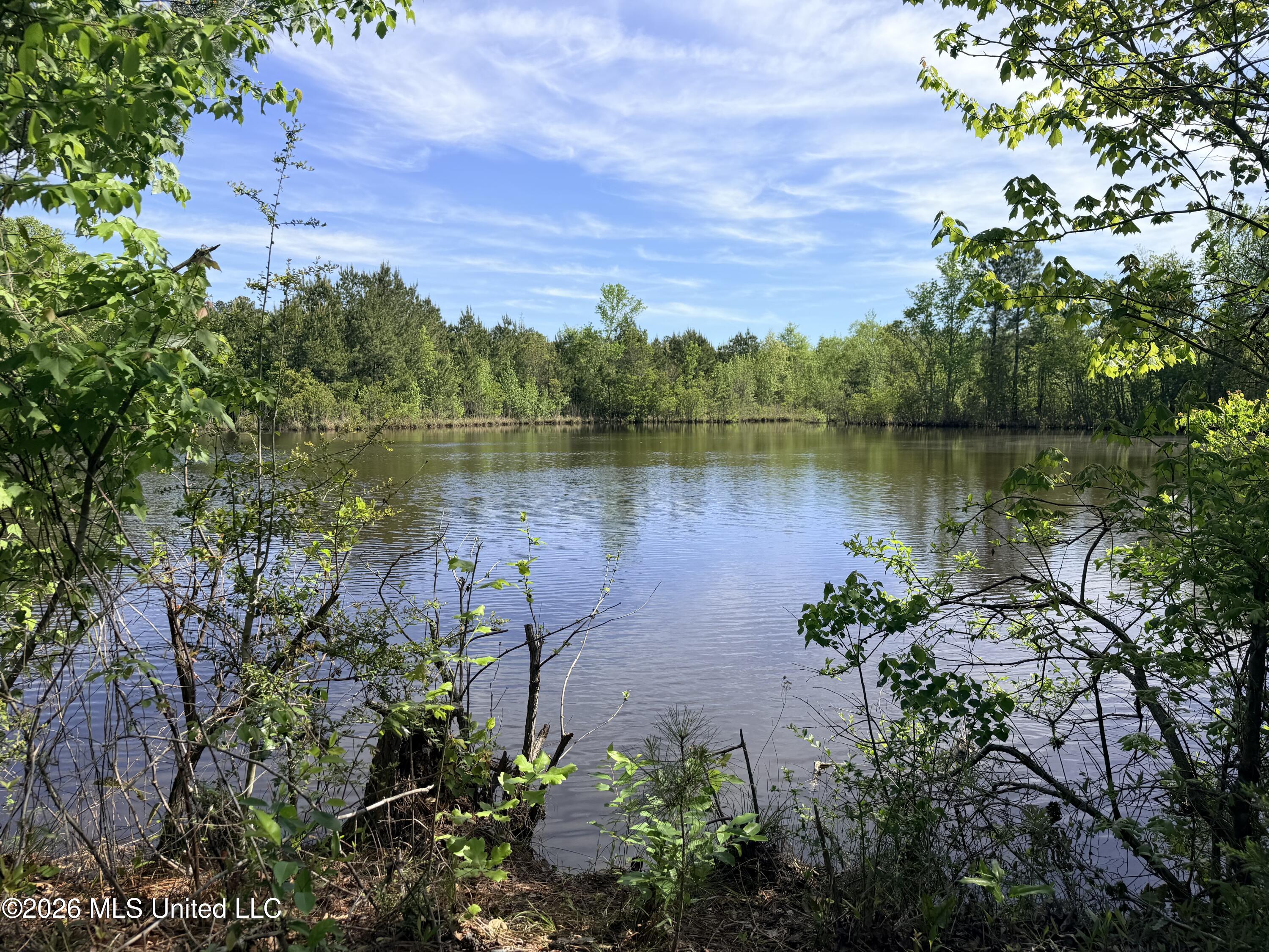 Chathaw Path Property Photo 30