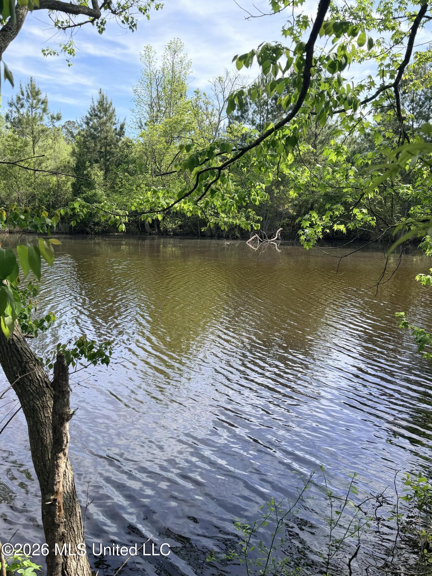 Chathaw Path Property Photo 31
