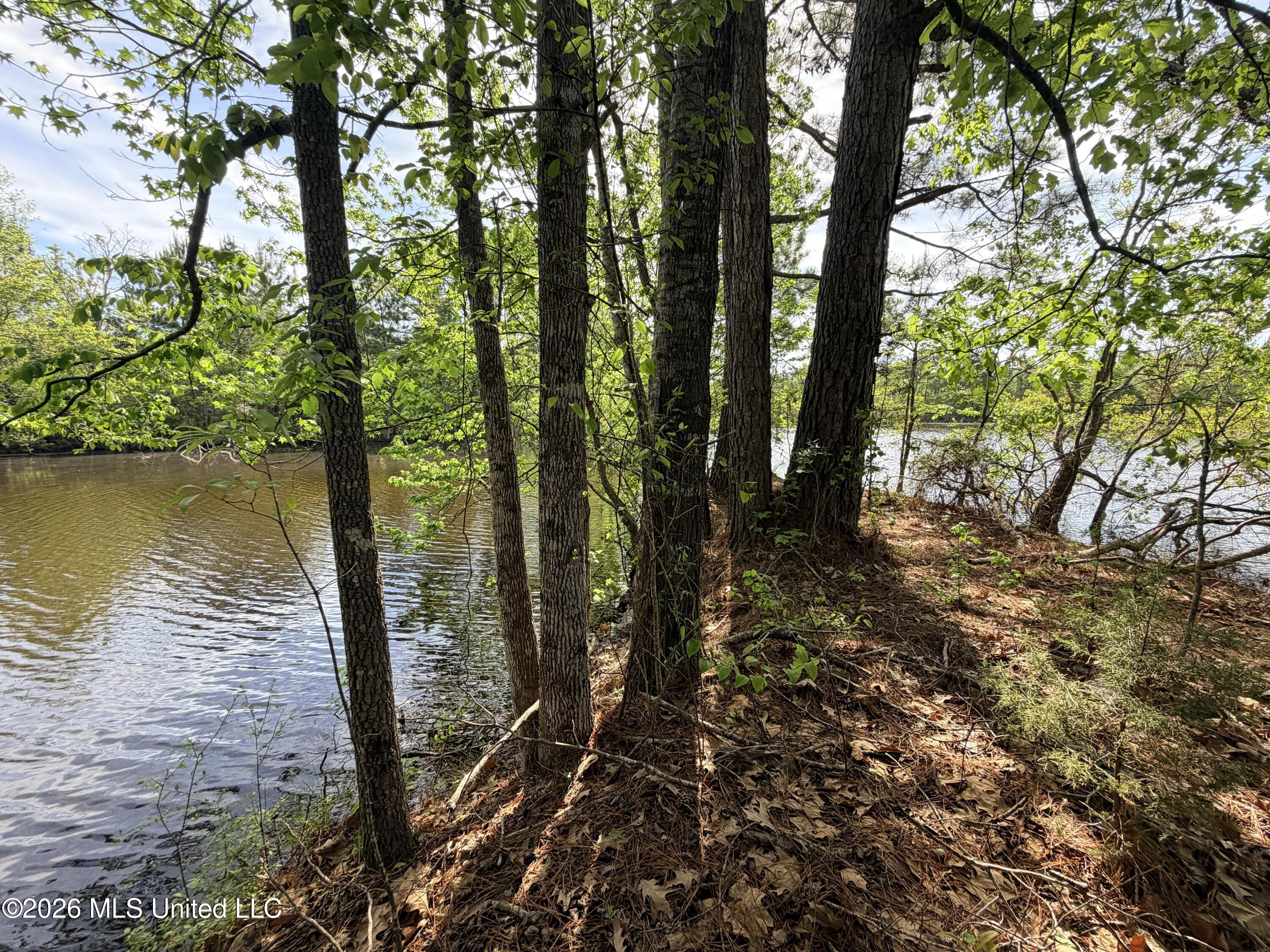 Chathaw Path Property Photo 32
