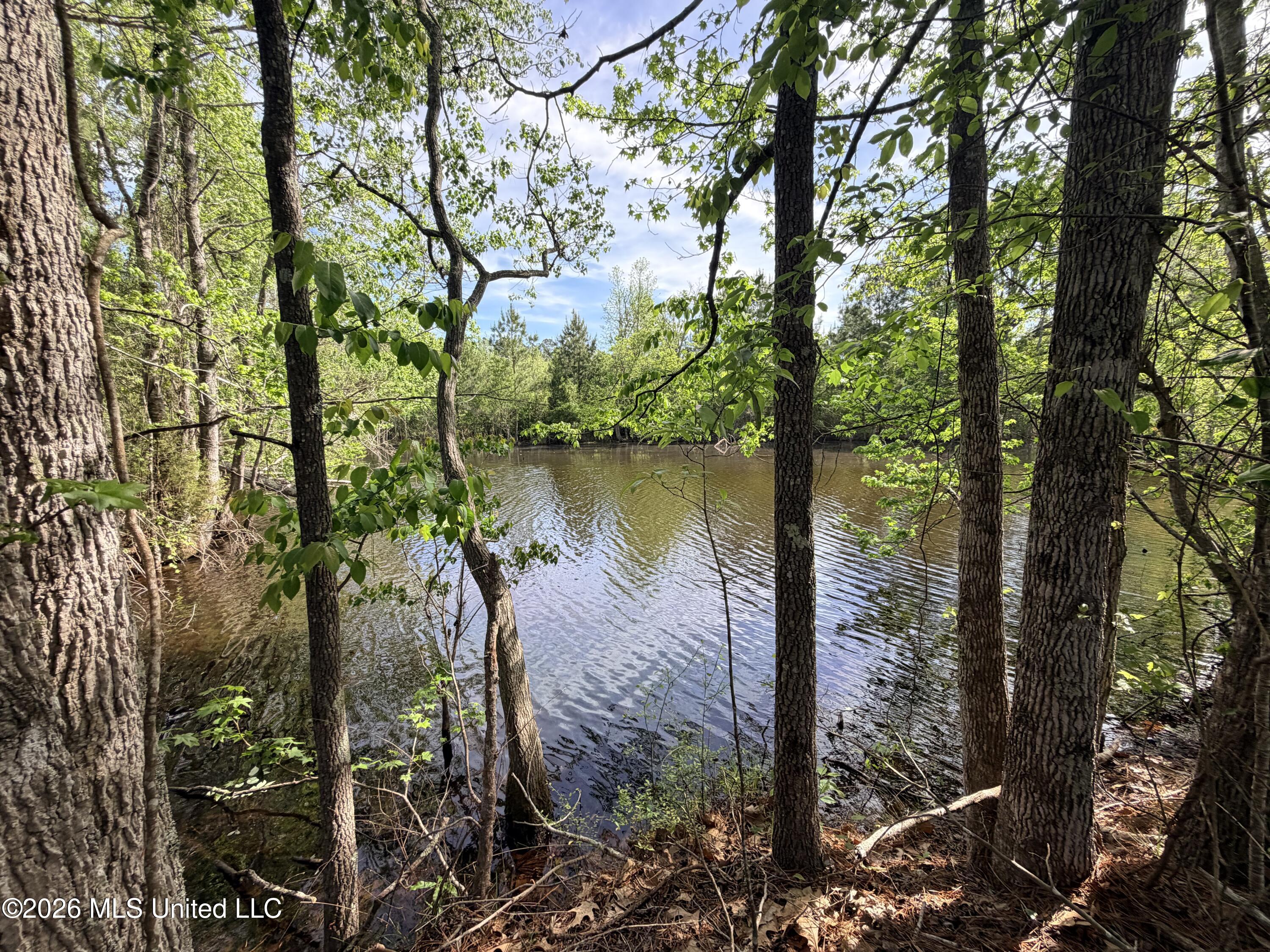 Chathaw Path Property Photo 33