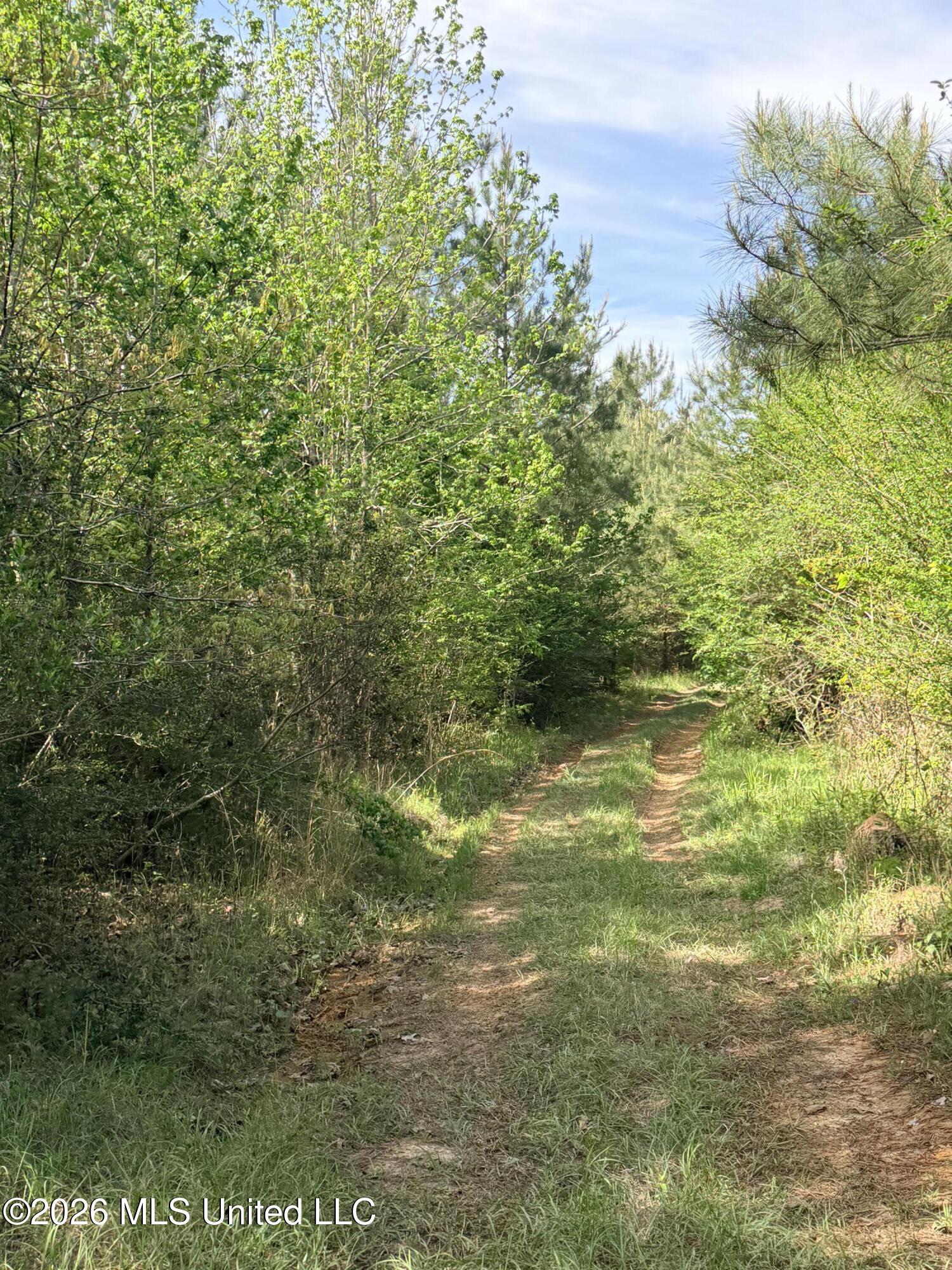Chathaw Path Property Photo 34