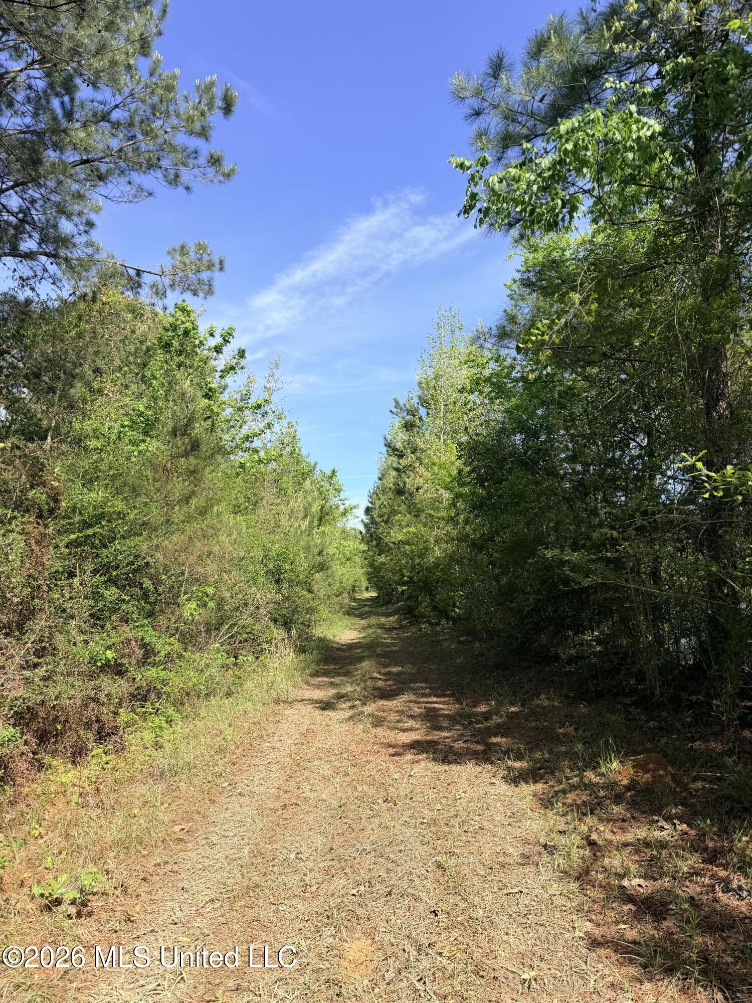 Chathaw Path Property Photo 35