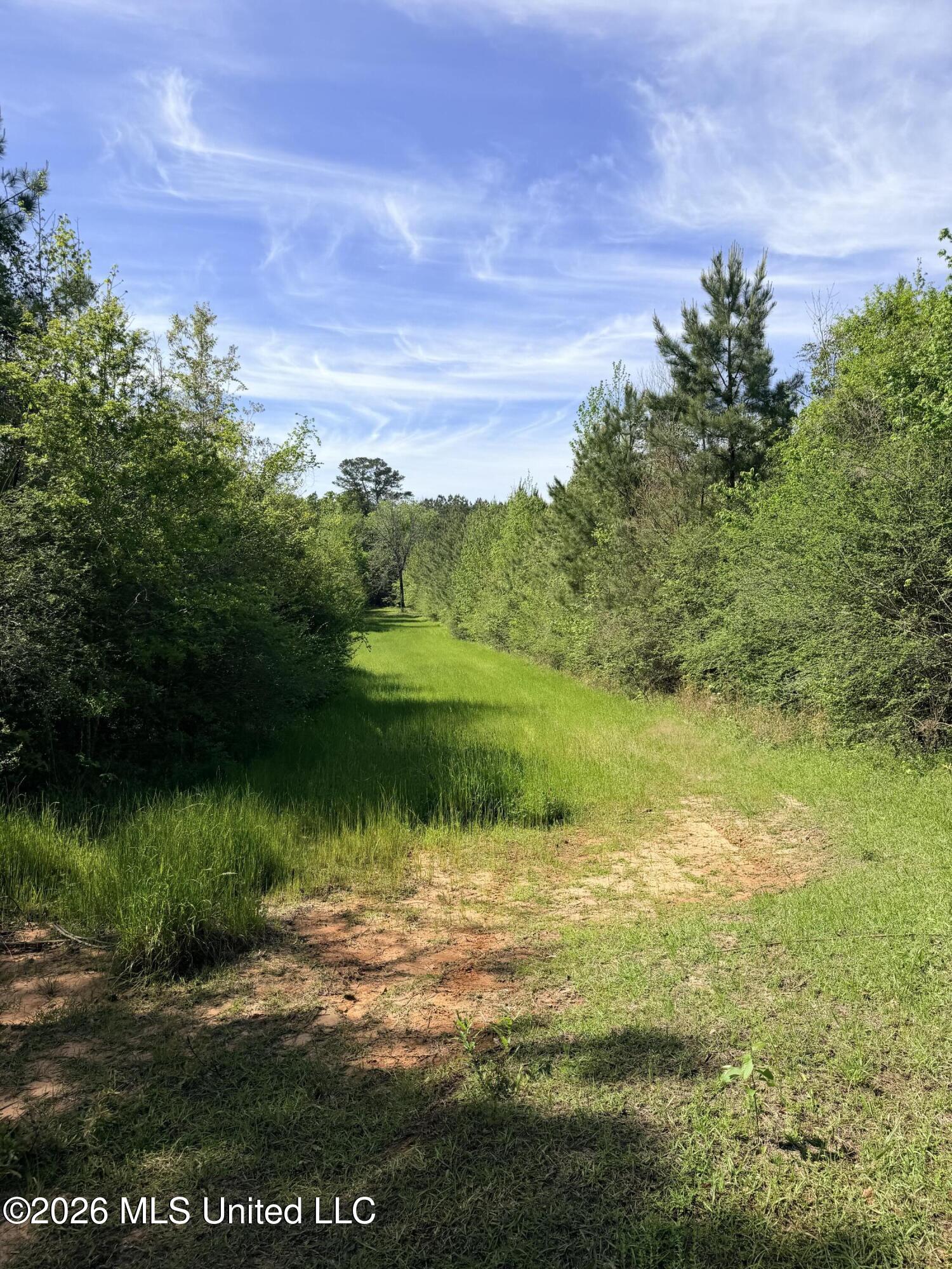 Chathaw Path Property Photo 36