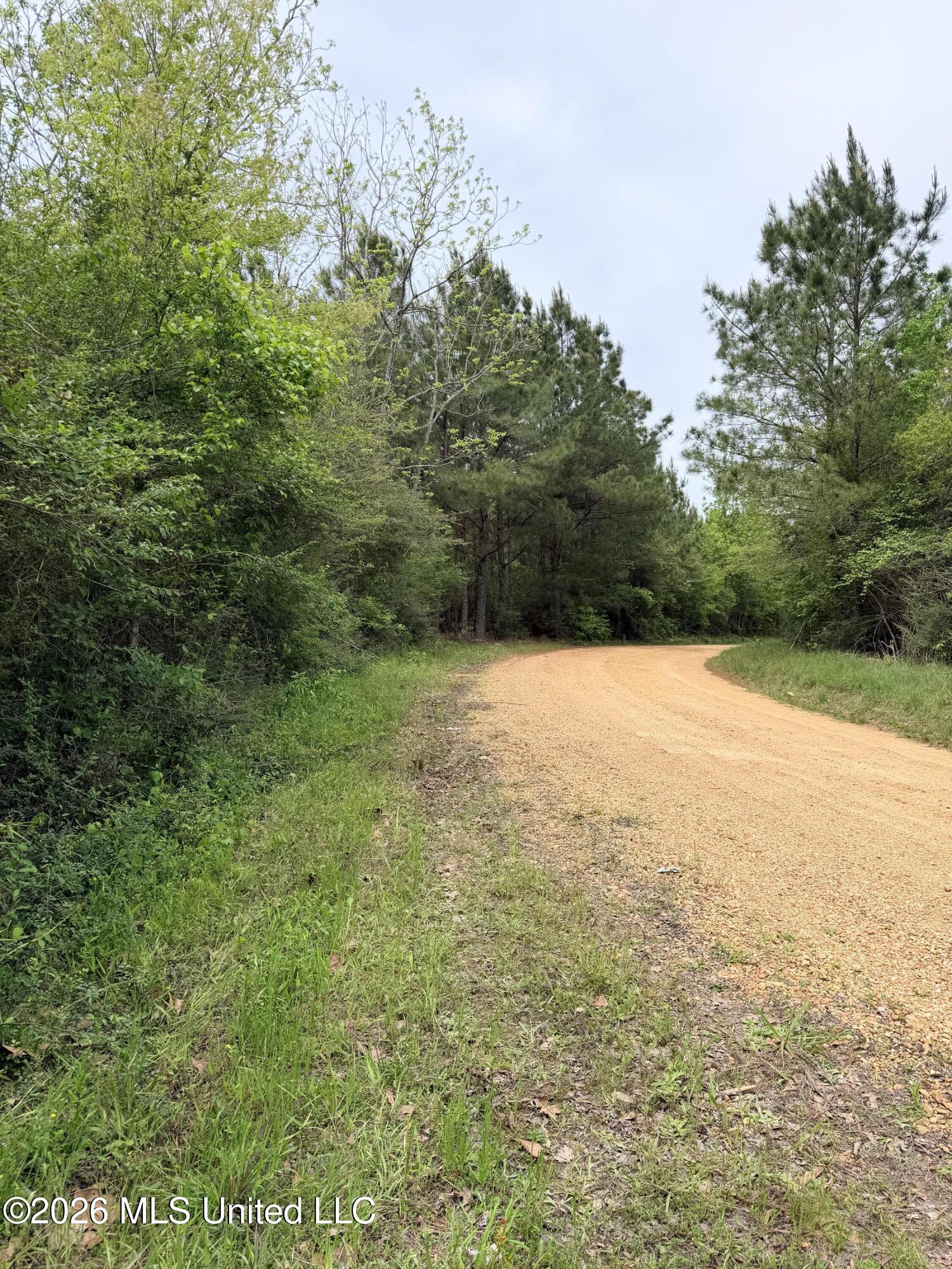 Chathaw Path Property Photo 37