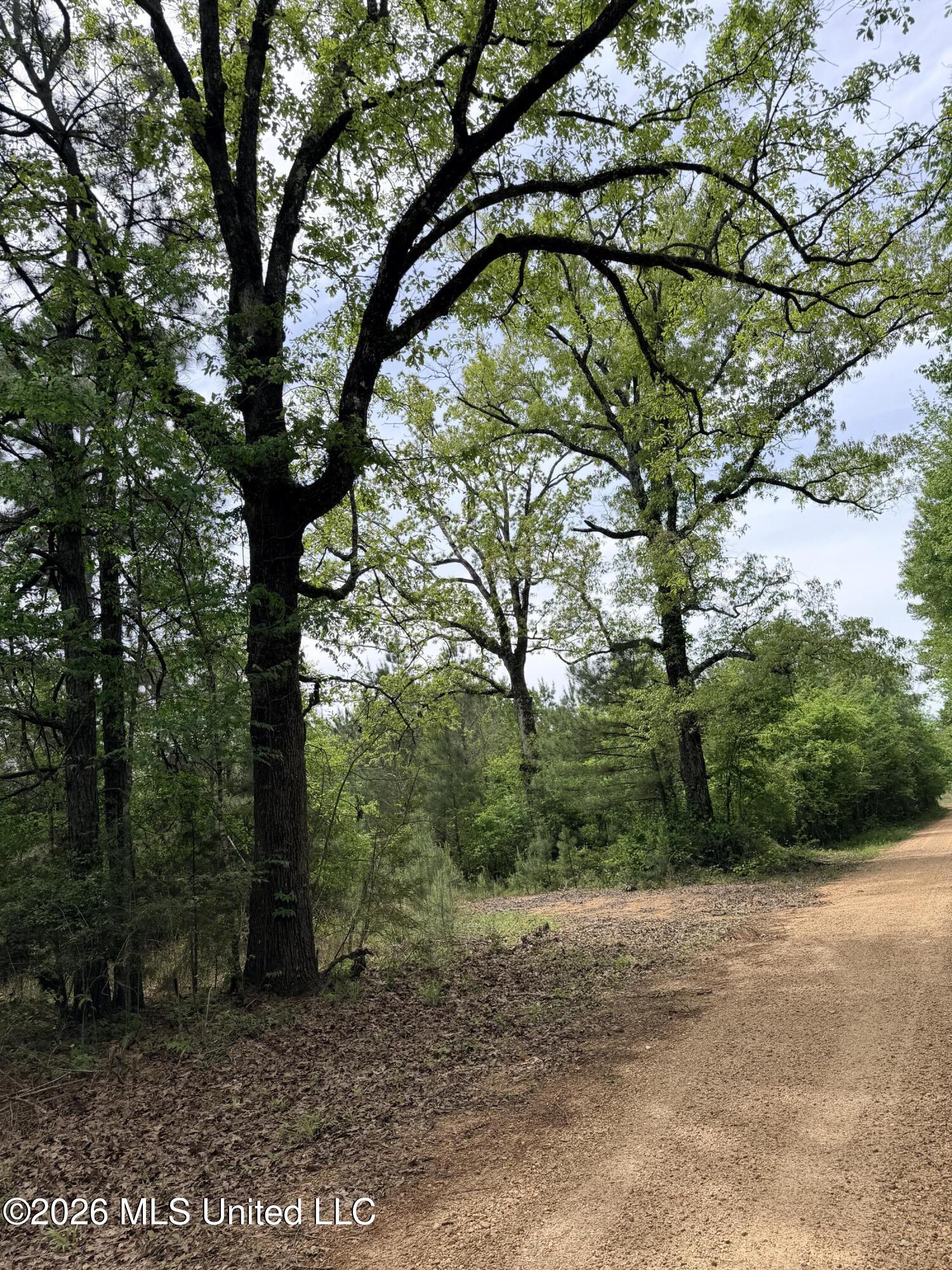 Chathaw Path Property Photo 38