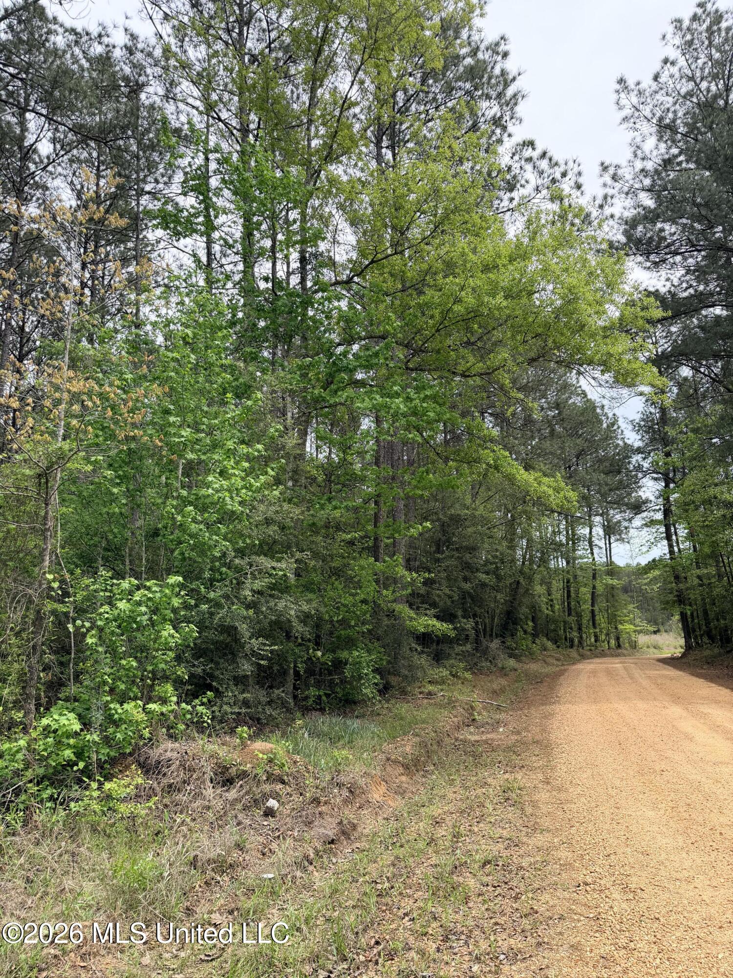 Chathaw Path Property Photo 39