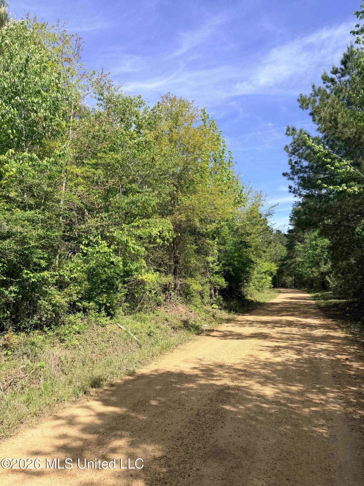 Chathaw Path Property Photo 40