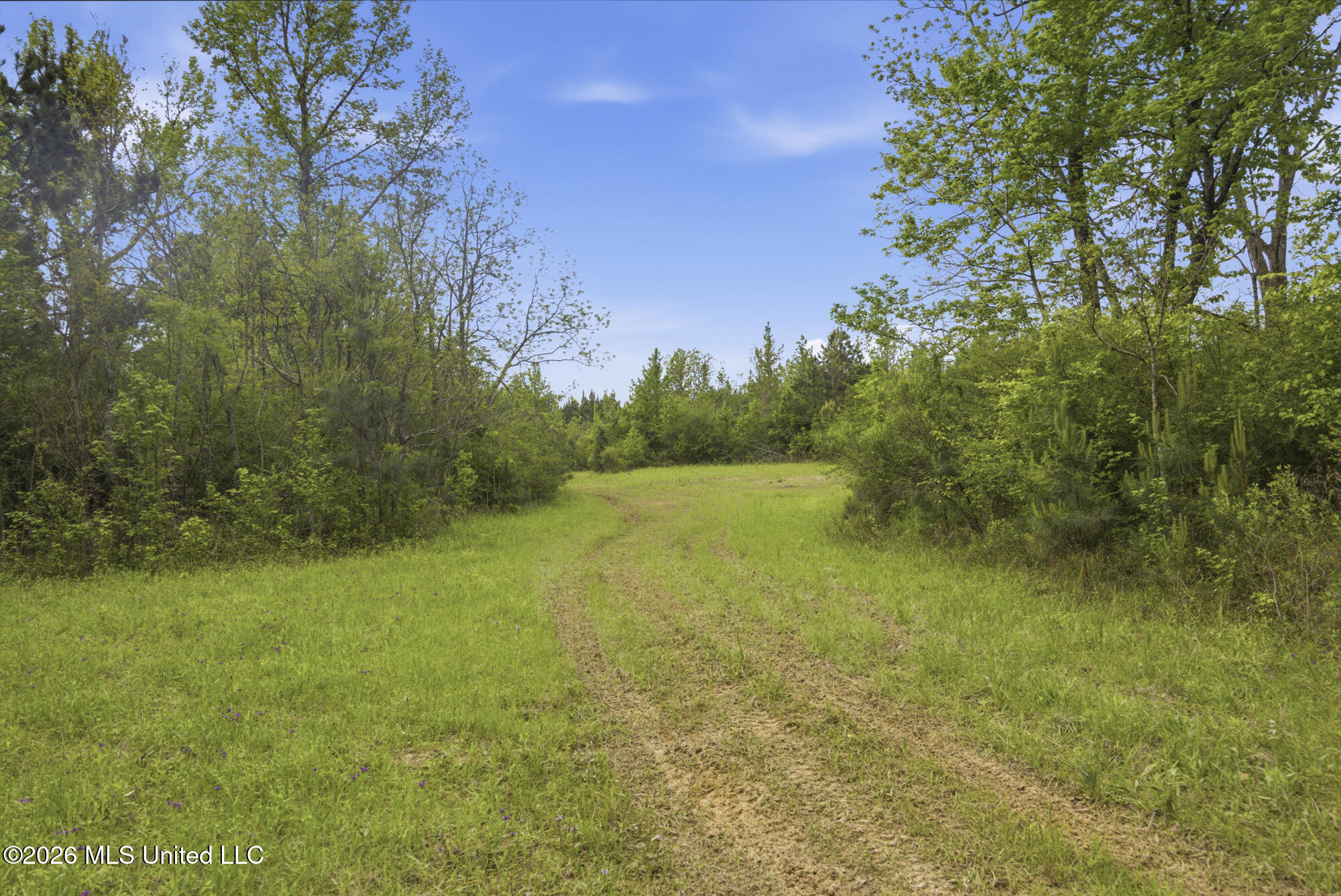 Chathaw Path Property Photo 41