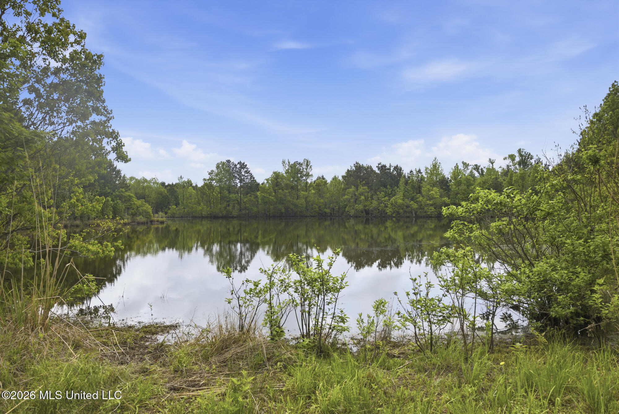Chathaw Path Property Photo 42