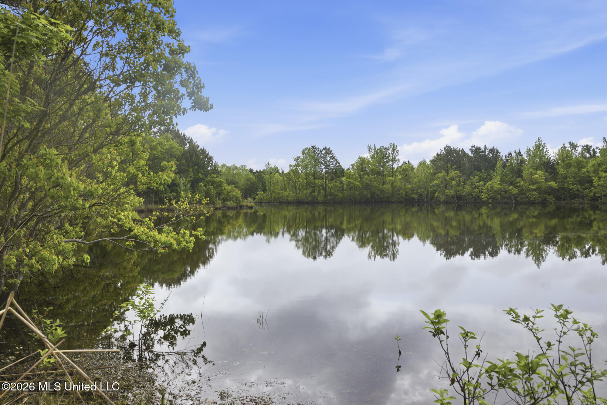 Chathaw Path Property Photo 43