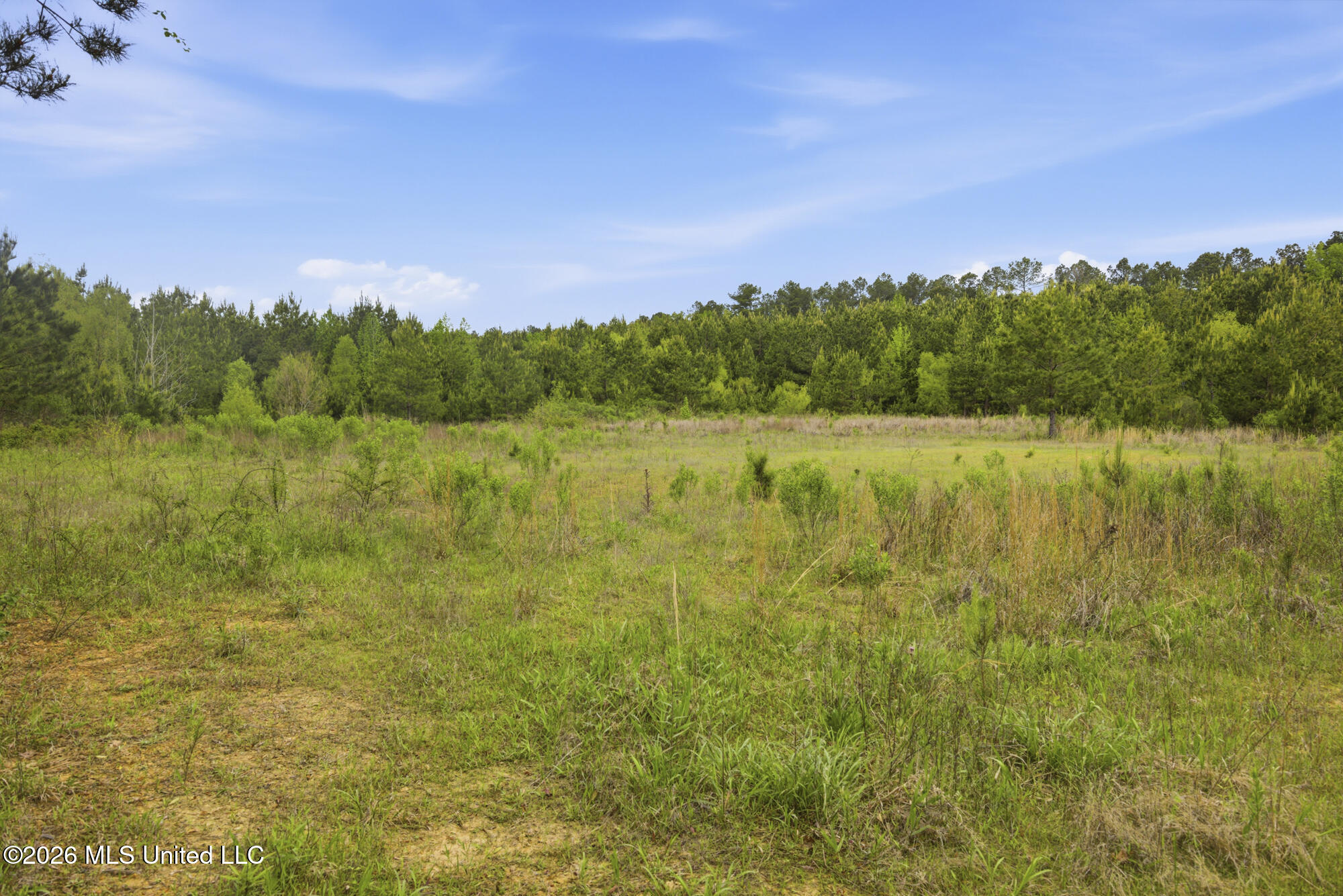 Chathaw Path Property Photo 44