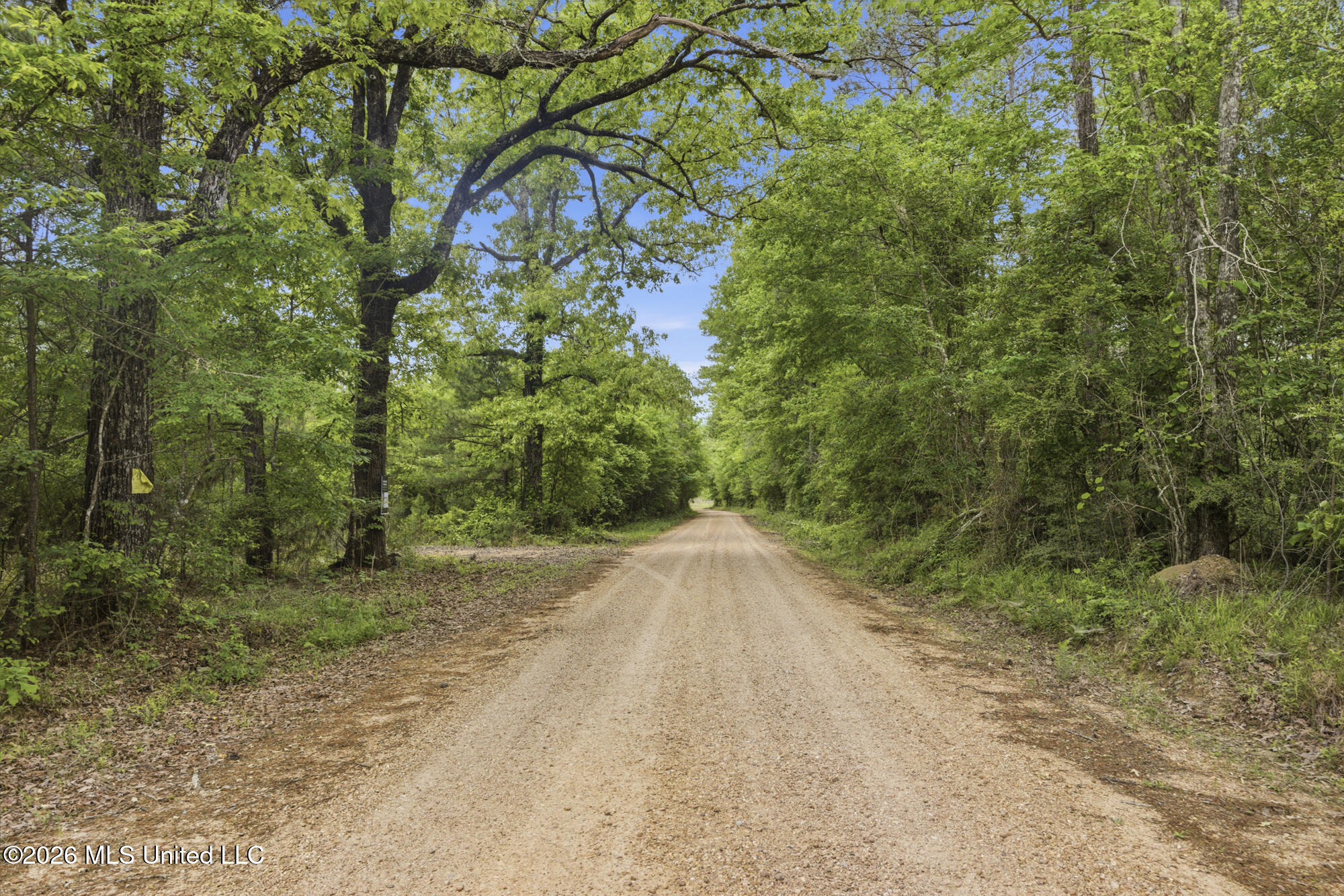 Chathaw Path Property Photo 45