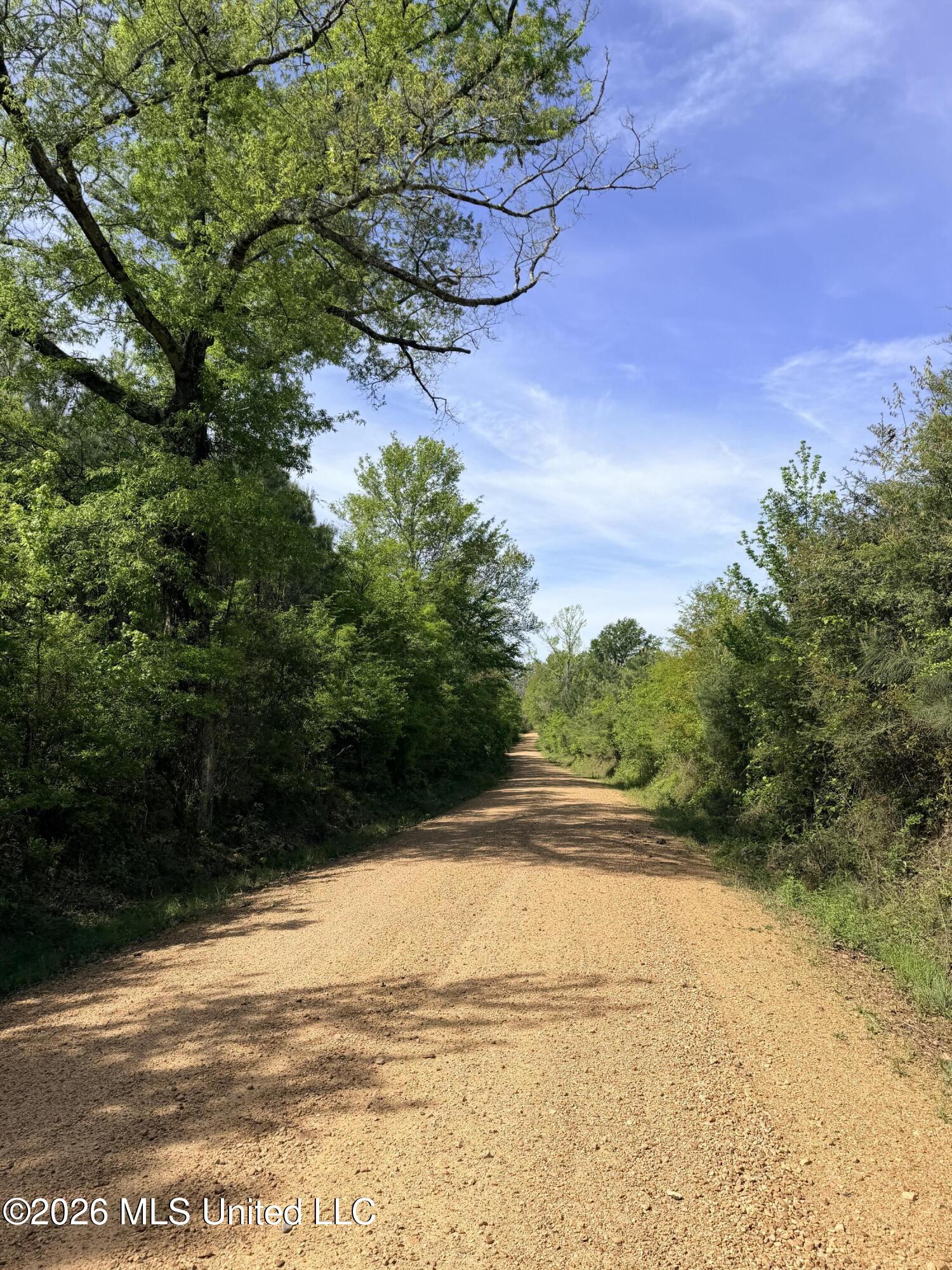 Chathaw Path Property Photo 46