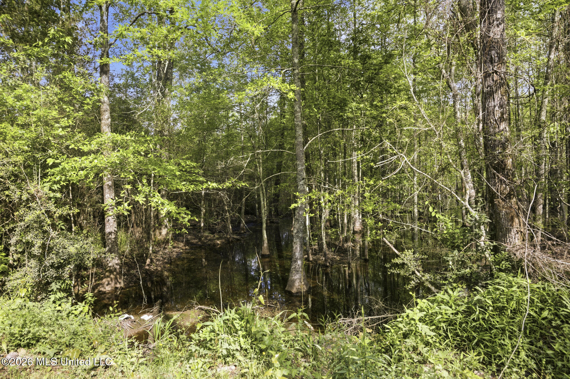 Chathaw Path Property Photo 47