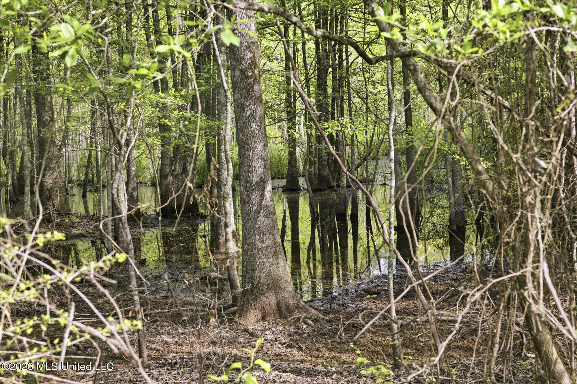 Chathaw Path Property Photo 48