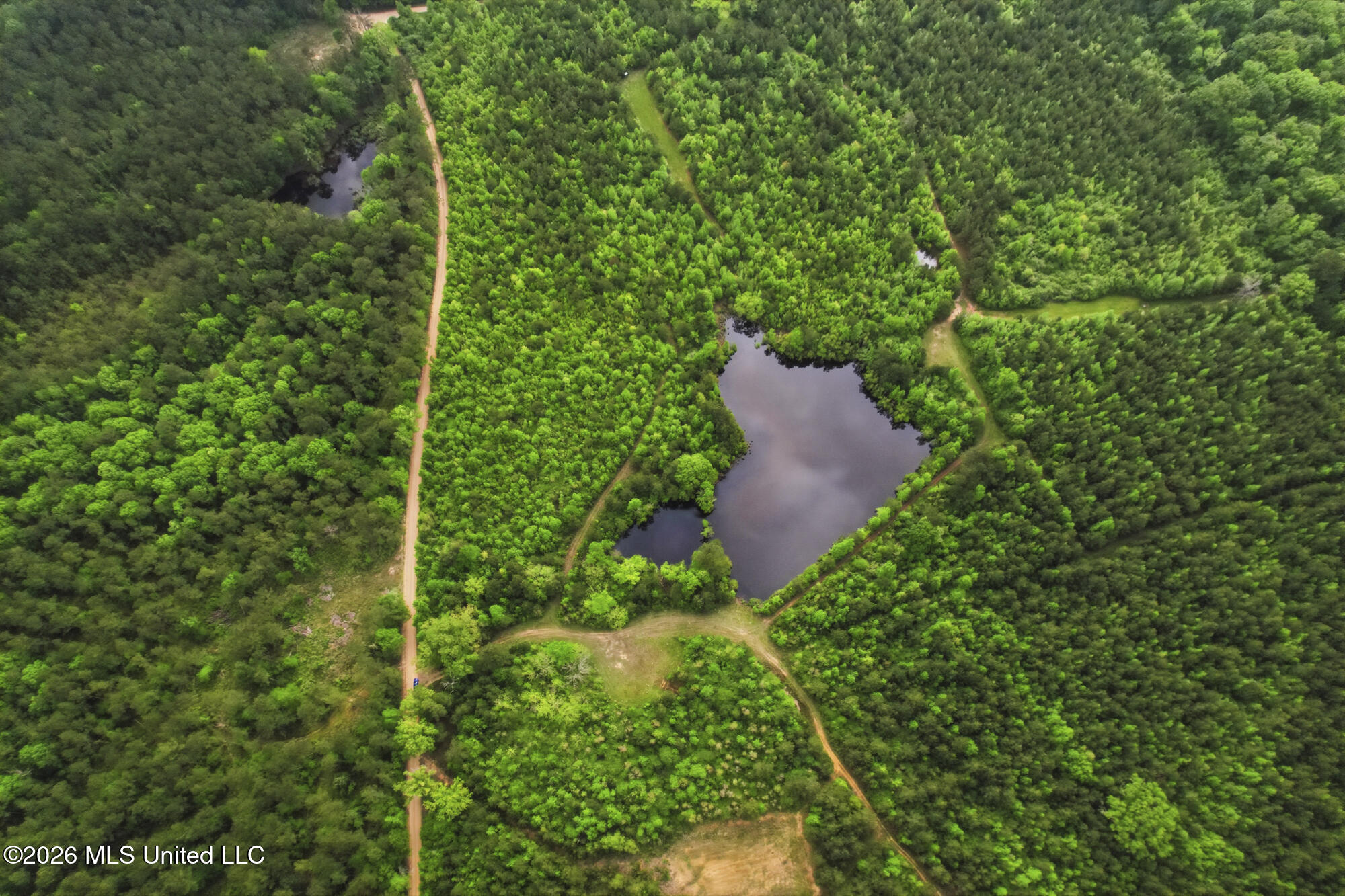 Chathaw Path Property Photo 50