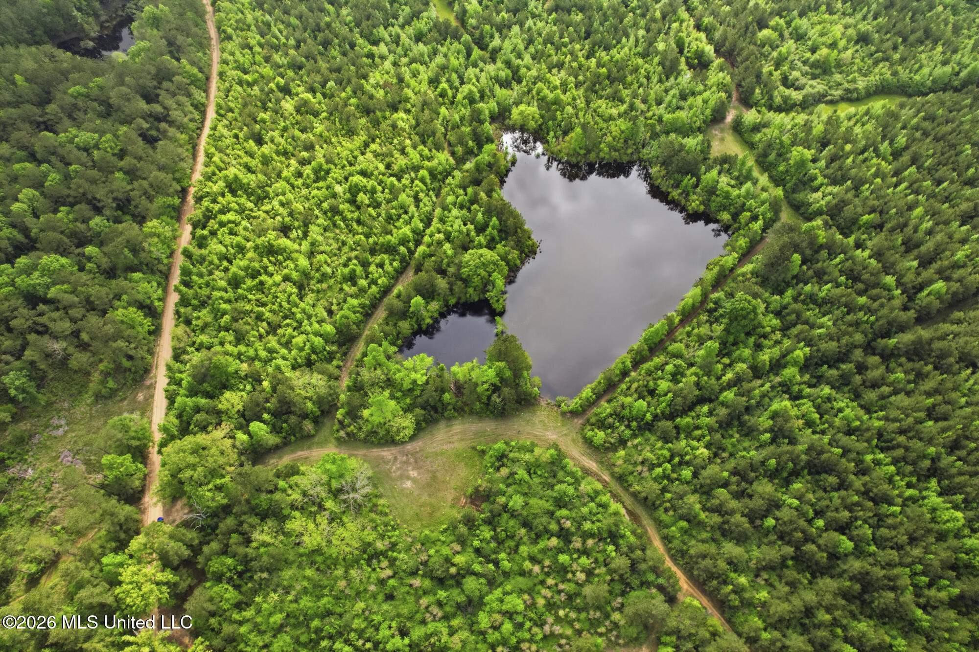 Chathaw Path Property Photo 51