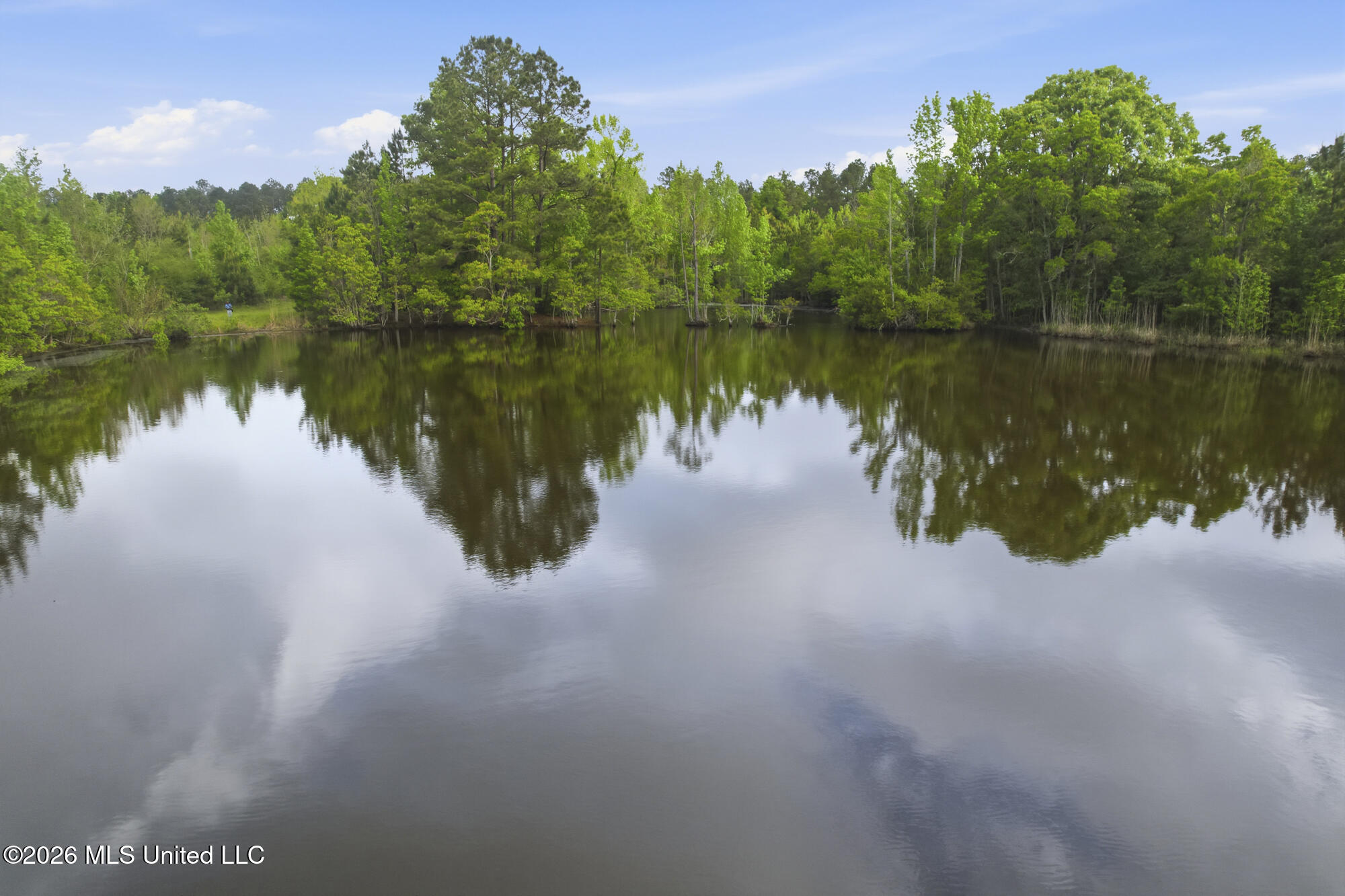Chathaw Path Property Photo 53